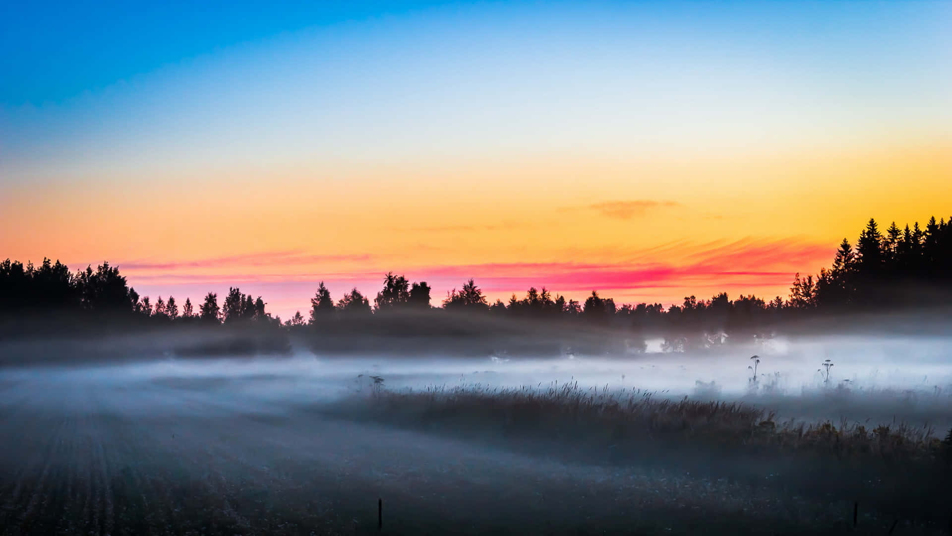 Fog 桌布 壁紙 — 霧氣籠罩的黎明，田野上樹木在藍、橙、粉紅漸變的天空中形成剪影。