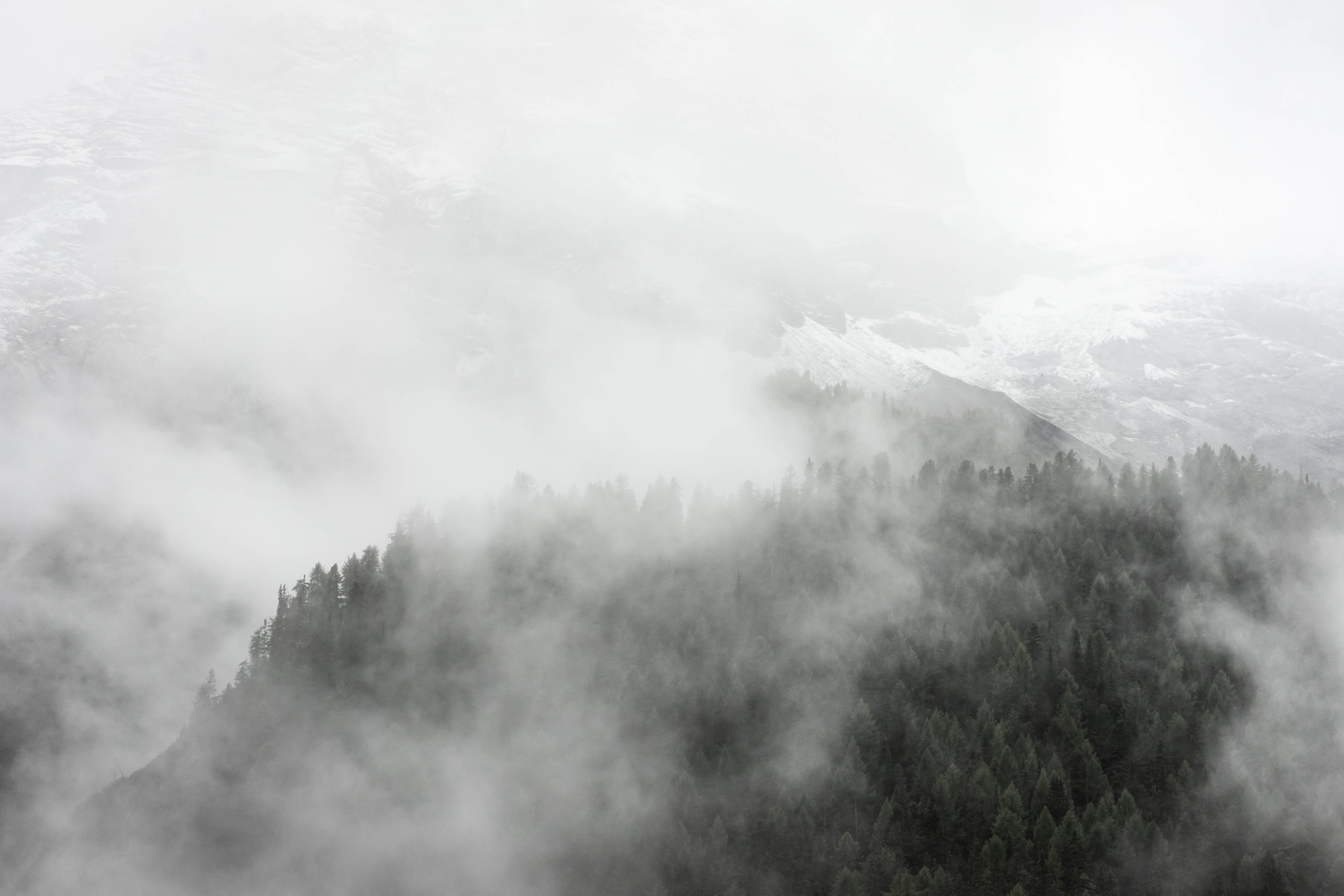 Dark Forest iPhone 桌布 壁紙 — 霧氣雲朵飄過一片茂密的松樹林，依附在積雪的山坡上，天空多雲。