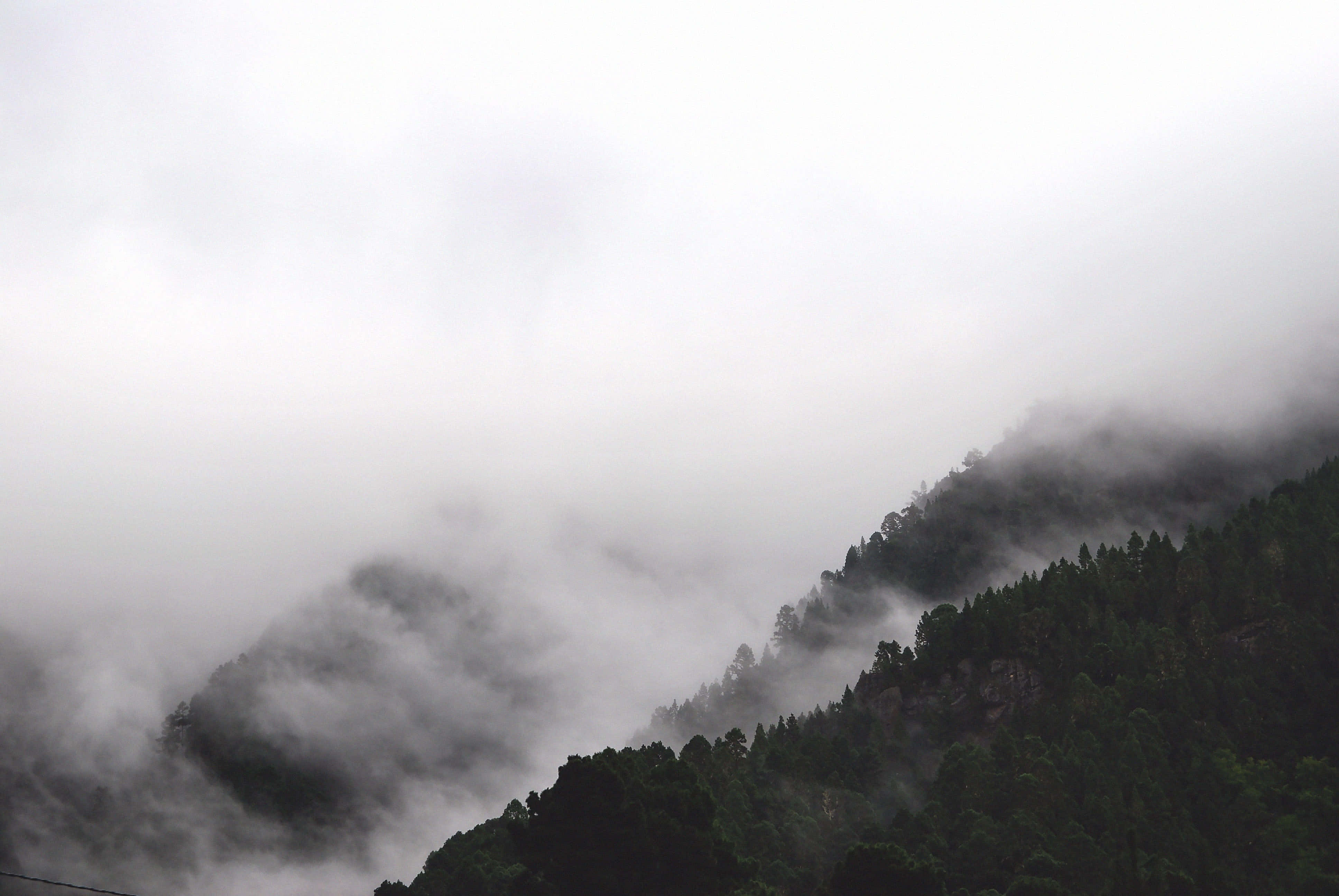 黑白 桌布 壁紙 — 霧氣雲霧在陰天下環繞著森林覆蓋的山坡。