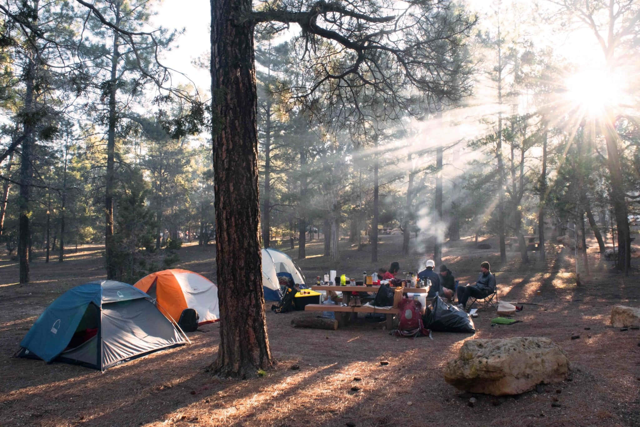 Camping 桌布 壁紙 — 露營者聚集在松樹下的野餐桌旁，陽光穿透迷濛的森林空氣。