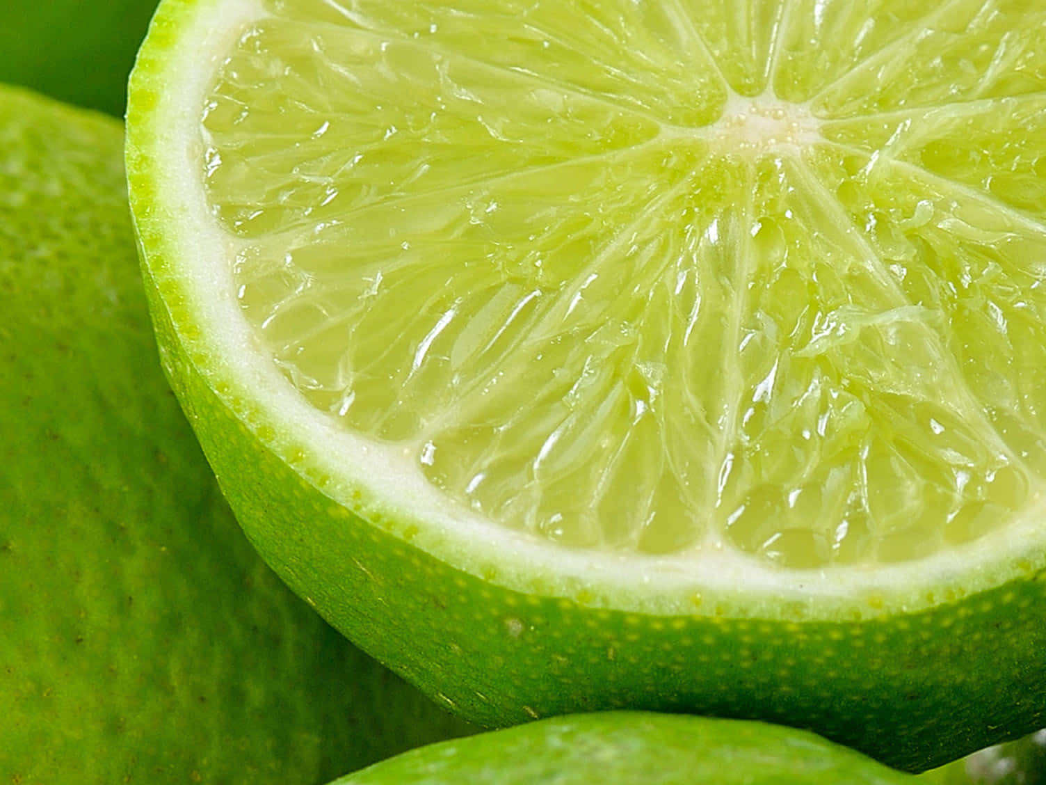Lime 桌布 壁紙 — 青檸片特寫，展現其充滿活力的綠色果肉和紋理外皮。