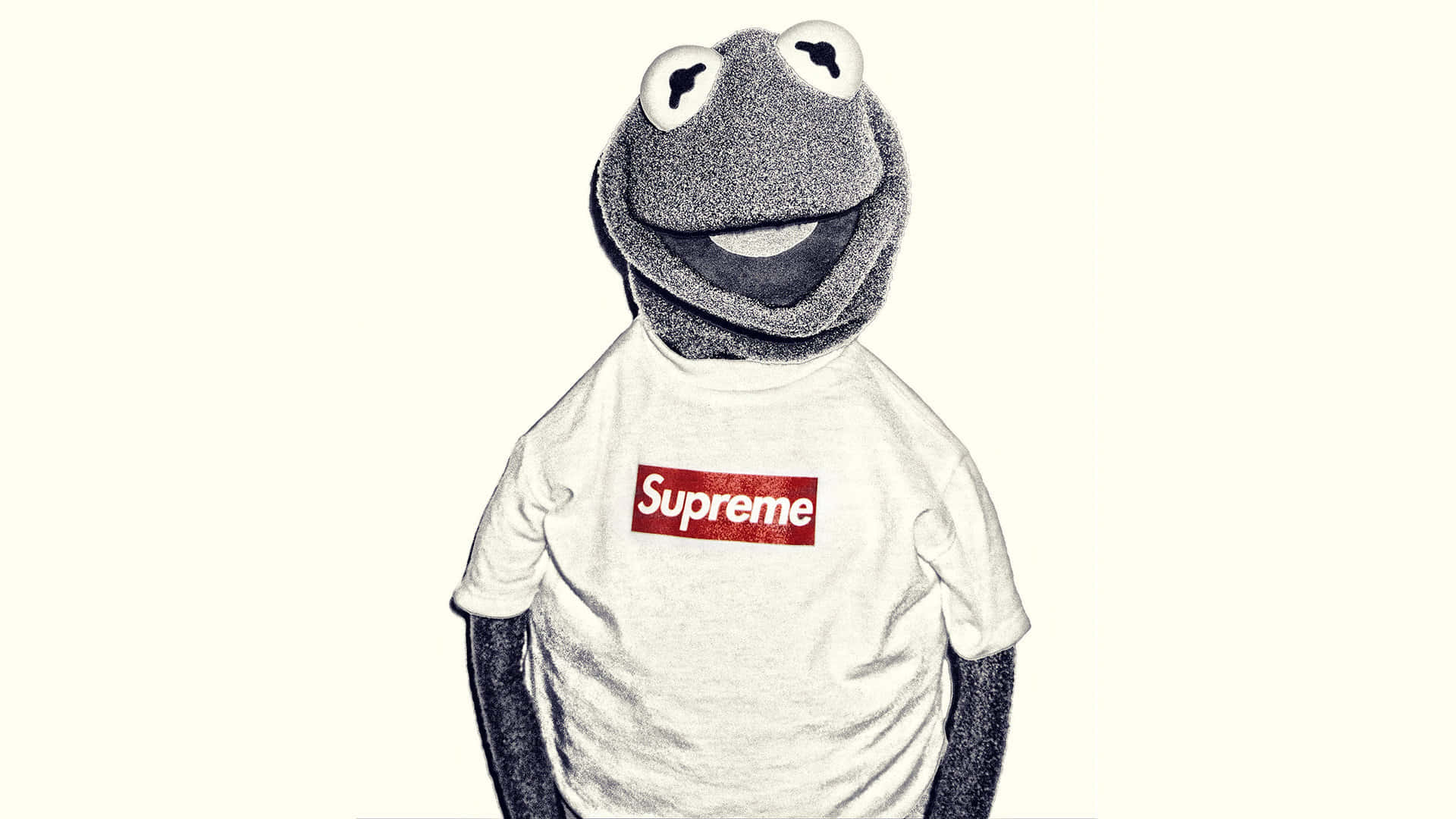 supreme 桌布 壁紙 — 青蛙柯密特穿著白色Supreme T恤，背景為純奶油色，帶有風格化的素描效果。