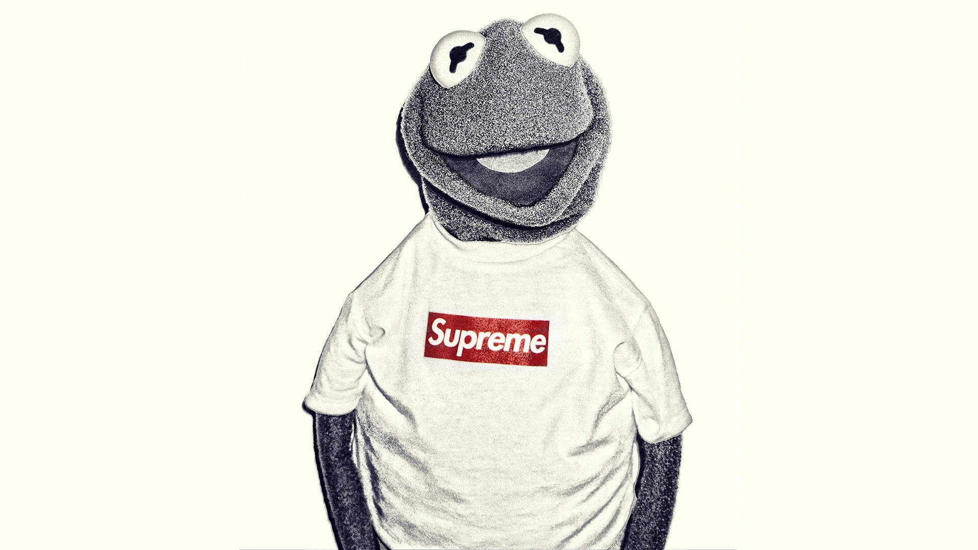 Sesame Street 桌布 壁紙 — 青蛙柯米特穿著白色Supreme T恤，背景為純奶油色，具有紋理和風格化的外觀。