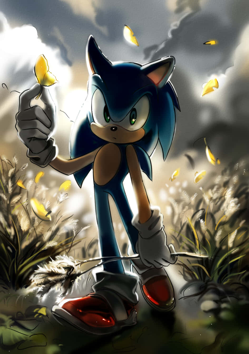Sonic Fan Art 桌布 壁紙 — 音速小子站在田野中，手持一隻黃色蝴蝶，身後陽光穿過暴風雲層。