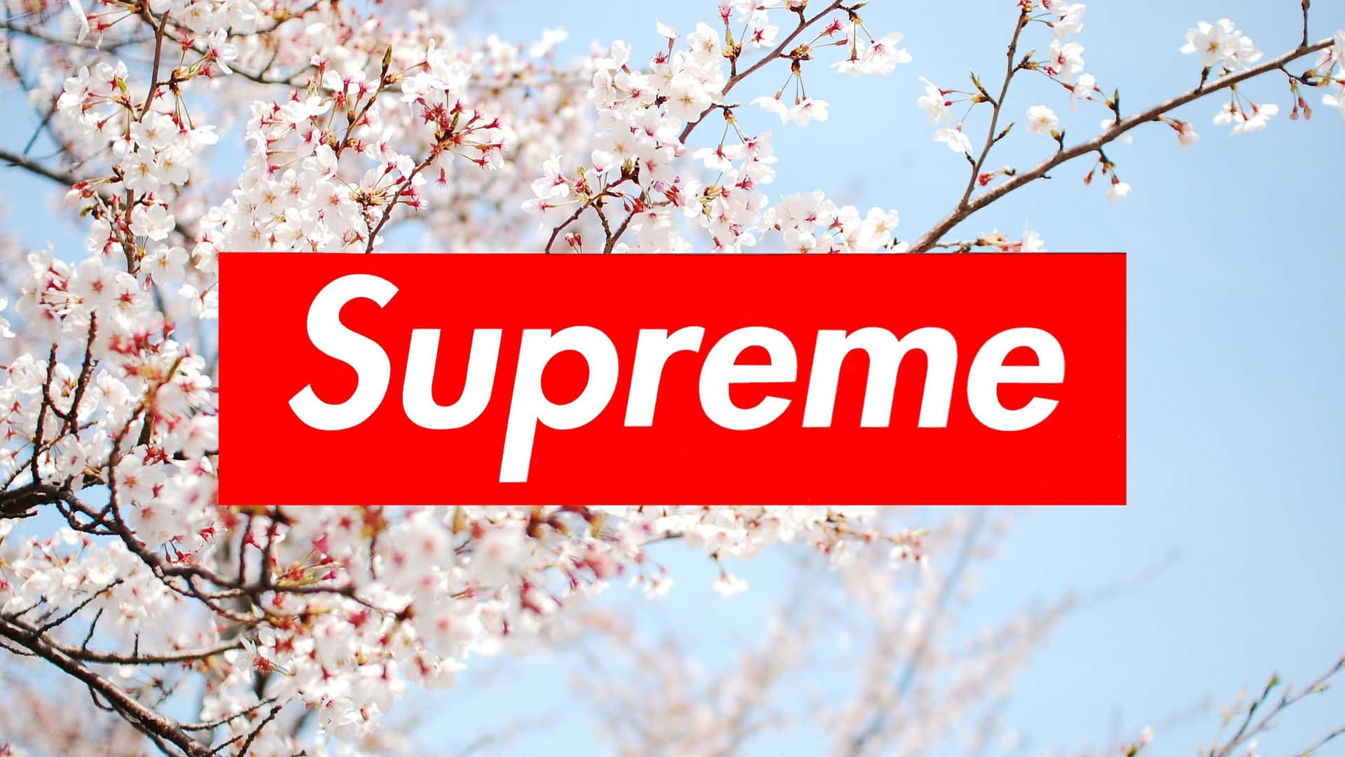 Supreme 圖片 — Supreme GIF 壁紙