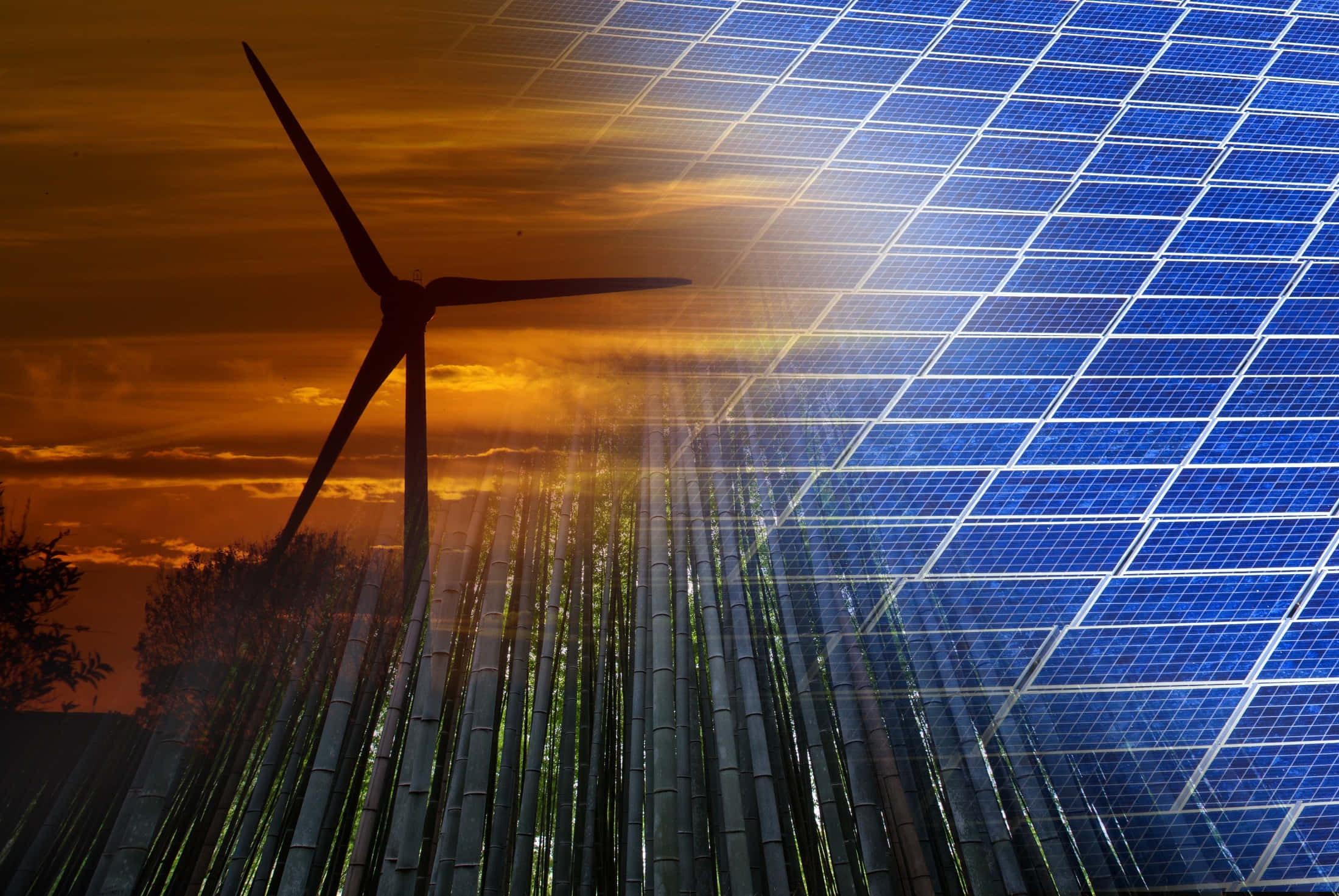 Energy 桌布 壁紙 — 風力渦輪機和太陽能板在火紅的日落天空下矗立，前景有竹莖。