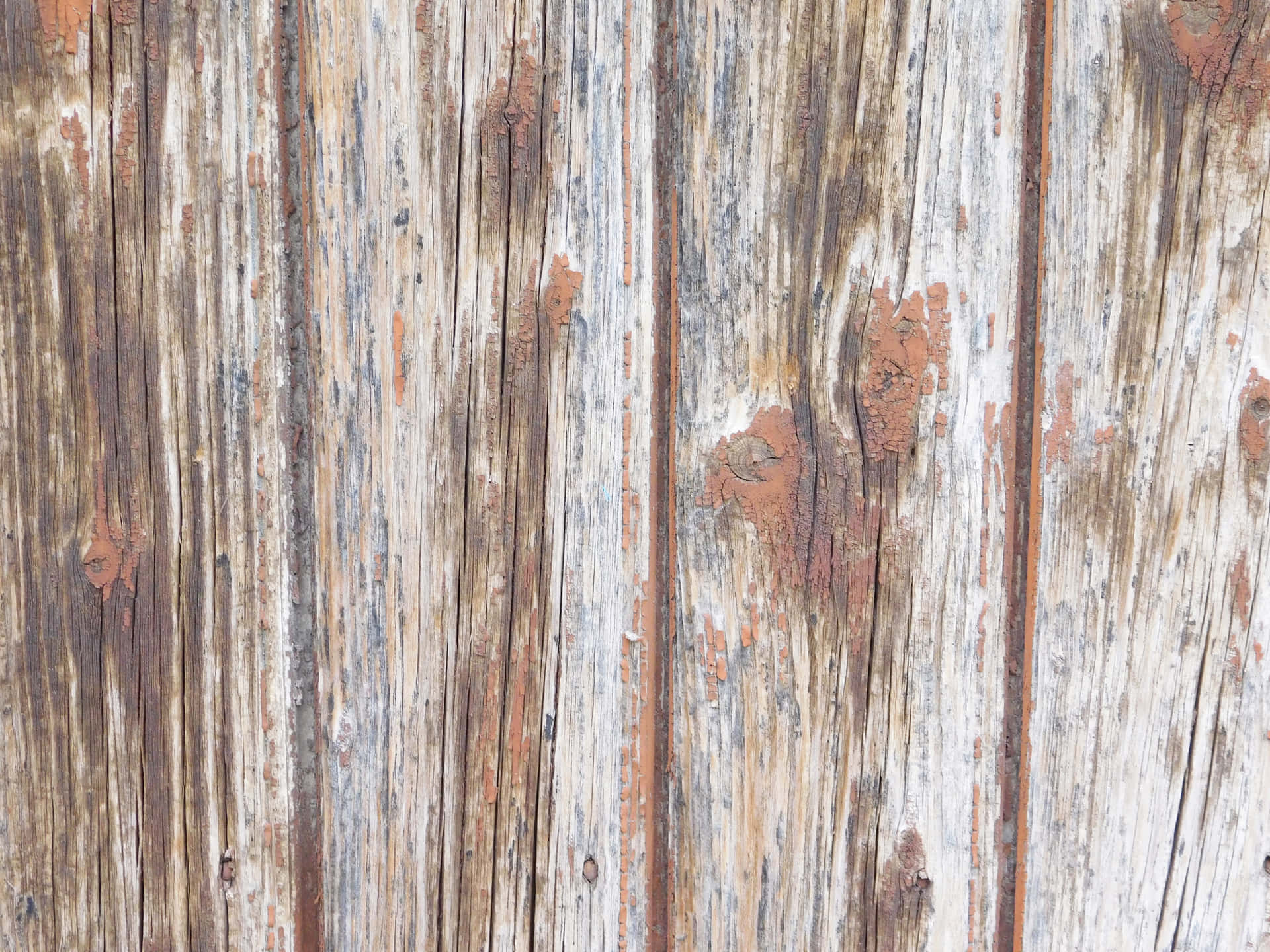 Wood texture 壁紙 — 風化垂直木板的特寫，紅色油漆剝落，呈現灰白色腐朽。