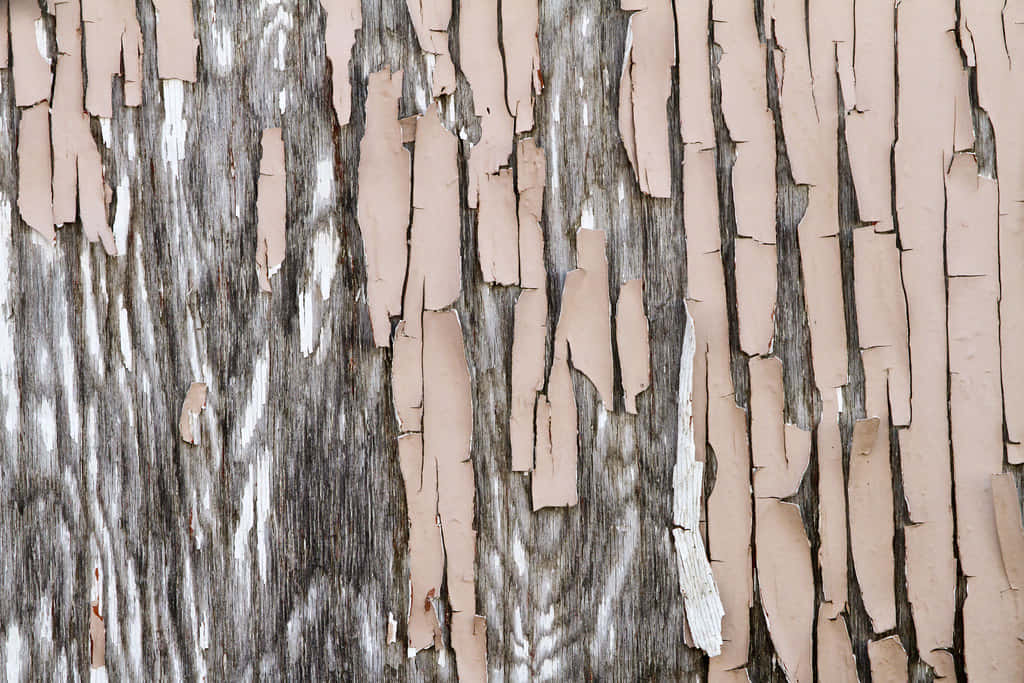 Wood Texture 桌布 壁紙 — 風化木材的特寫，剝落的米色油漆露出下面的灰色紋理。