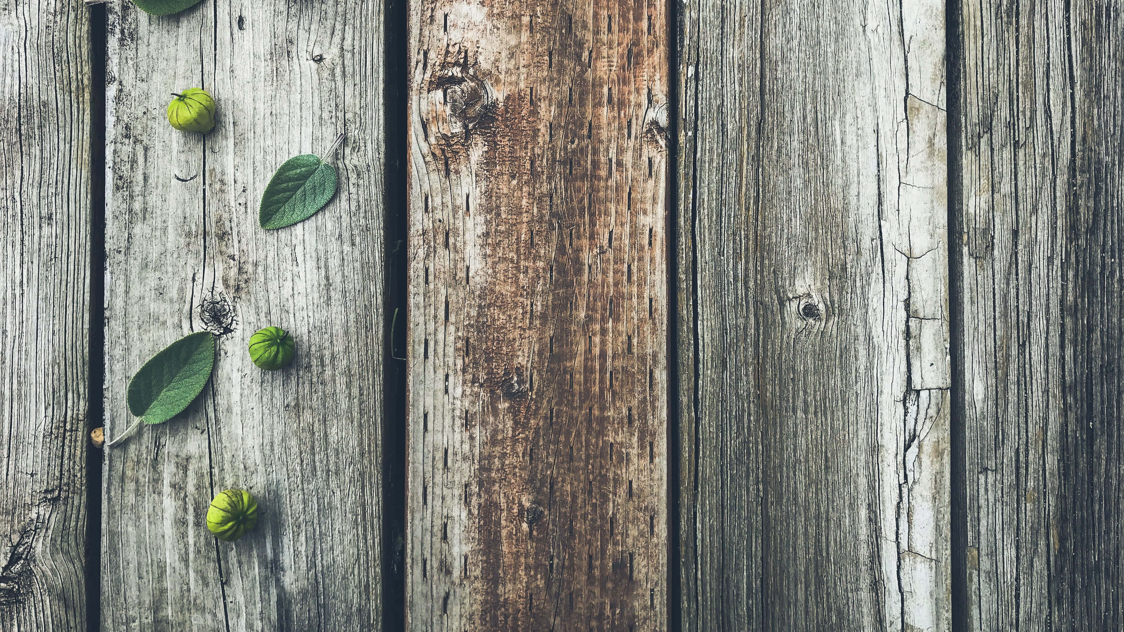 樹林 桌布 壁紙 — 風化木板上散落著綠葉和小果實，呈現質樸表面。