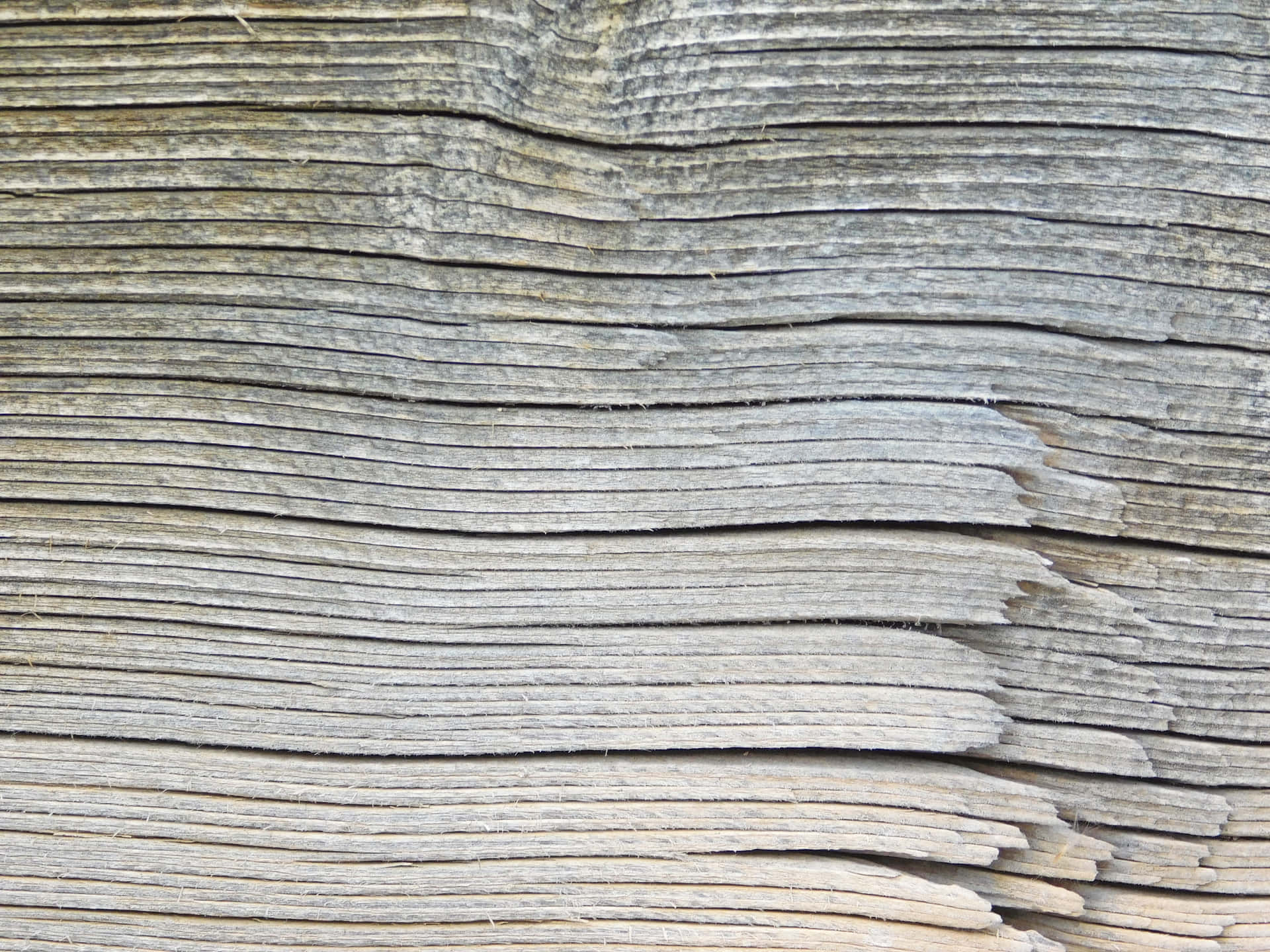 Wood texture 壁紙 — 風化木板的特寫，展現層疊紋理和自然磨損，色調柔和樸實。