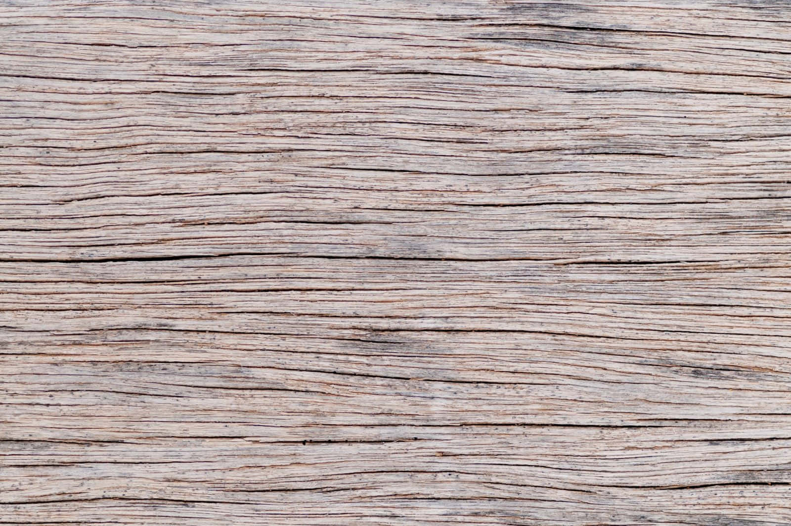 High Resolution Wood 桌布 壁紙 — 風化木板的特寫，帶有深紋理和褪色的灰調。