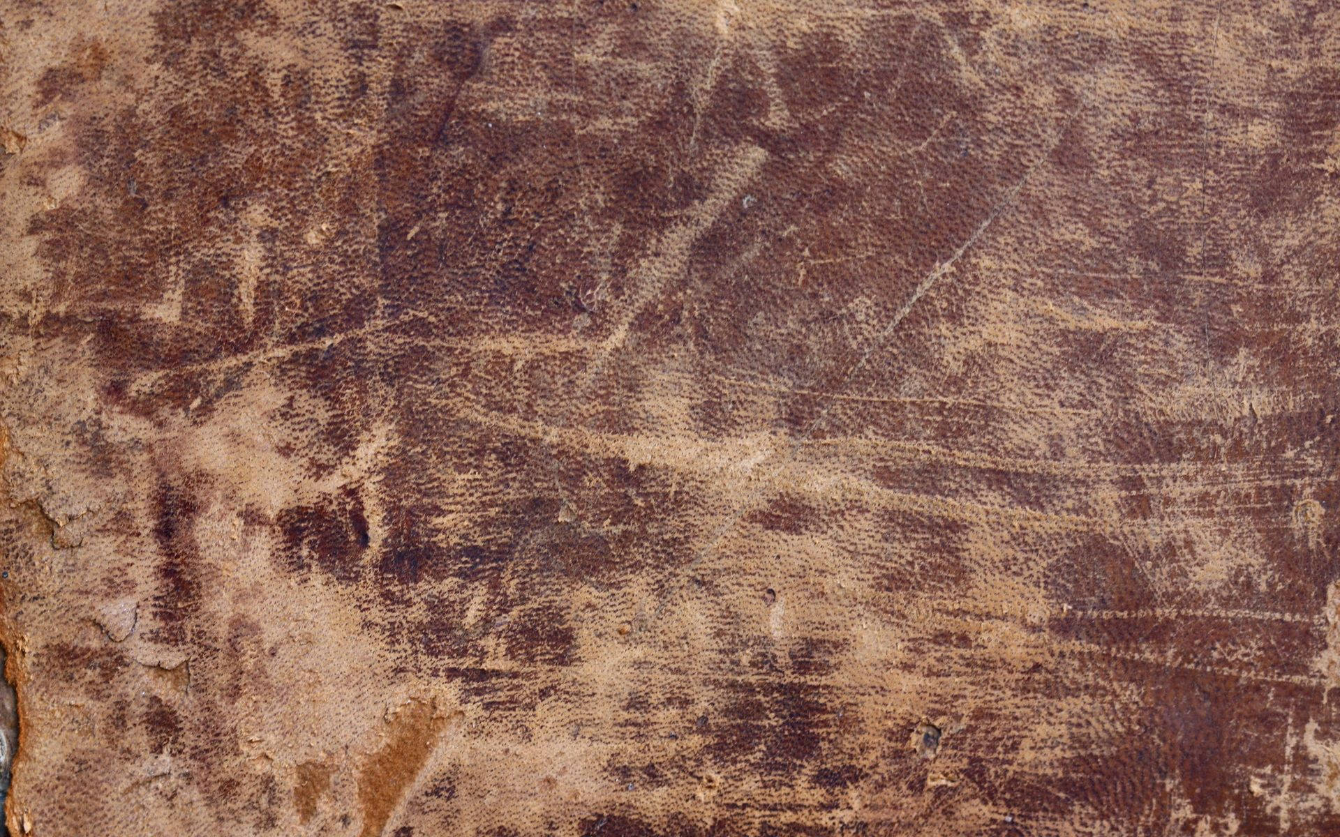 antique 桌布 壁紙 — 風化棕色皮革的特寫，帶有深划痕和磨損紋理。