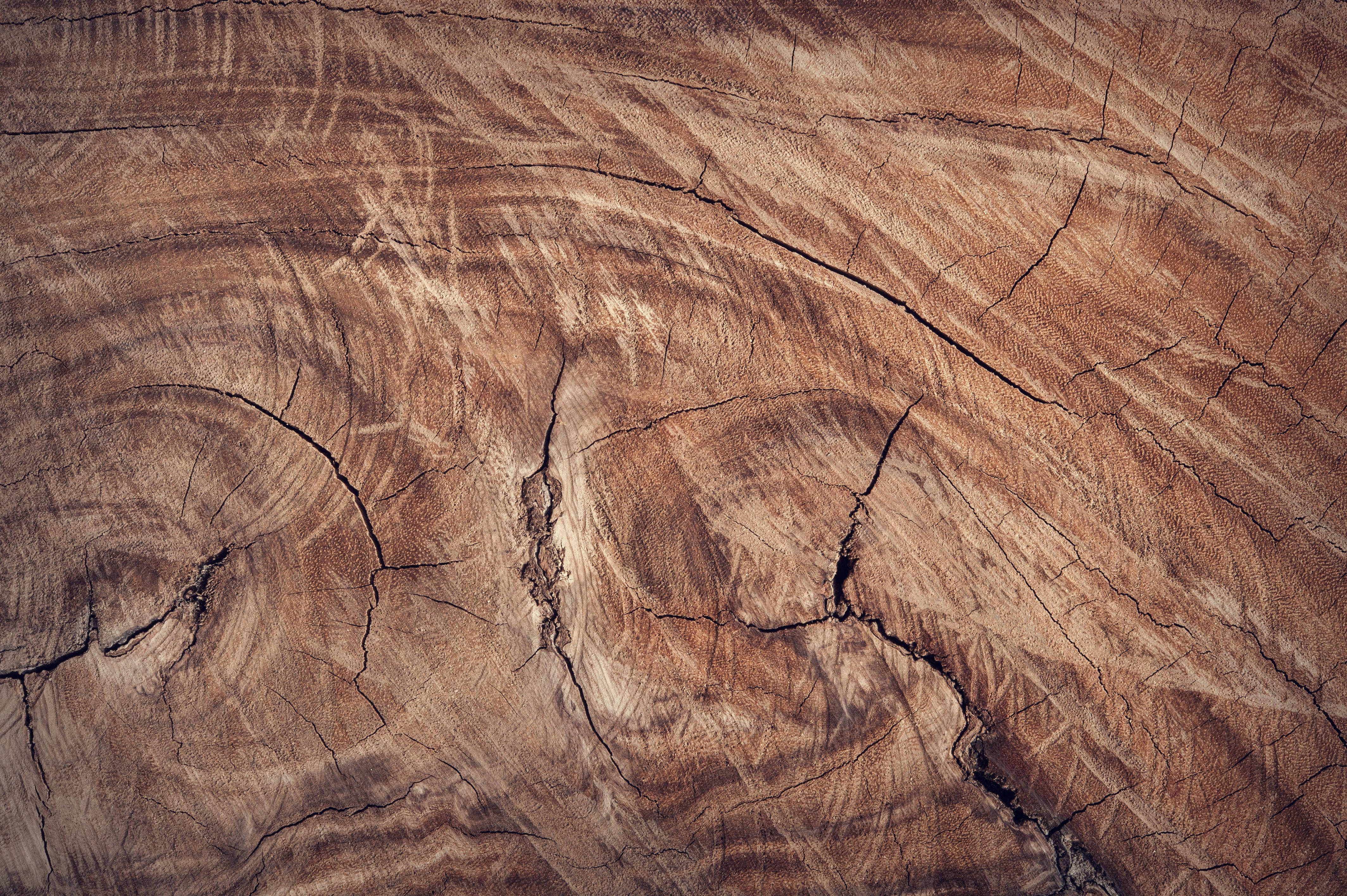 Wood Texture 桌布 壁紙 — 風化樹樁的特寫，帶有深裂紋和漩渦狀棕色木紋圖案。