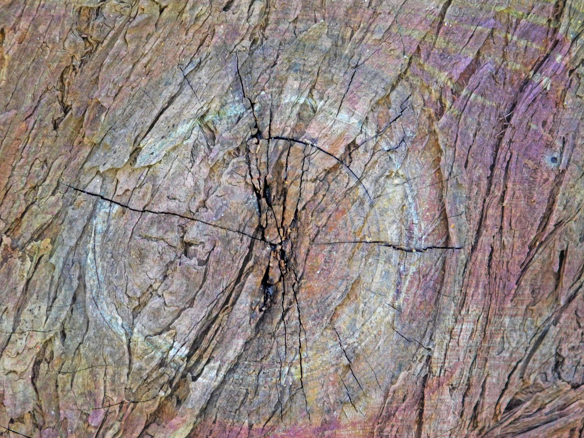 Wood texture 壁紙 — 風化樹皮的近距離特寫，展現深裂紋與層次質感，色調為大地色系的棕色、紫色與灰色。