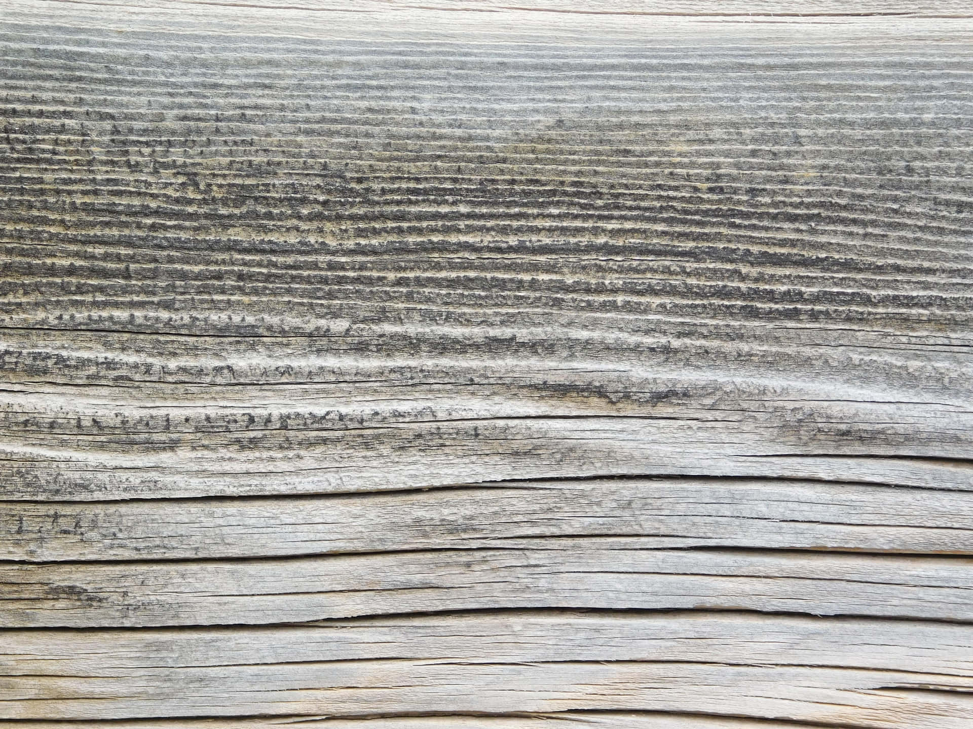Wood texture 壁紙 — 風化水平木板的特寫，顯示深層木紋紋理和灰褐色銅綠。