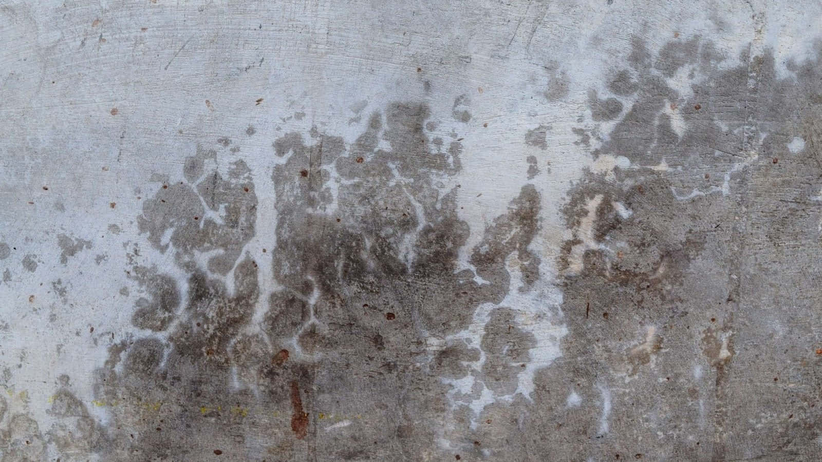 White Grunge 桌布 壁紙 — 風化混凝土牆，帶有灰色和白色的剝落油漆斑塊及鏽跡。