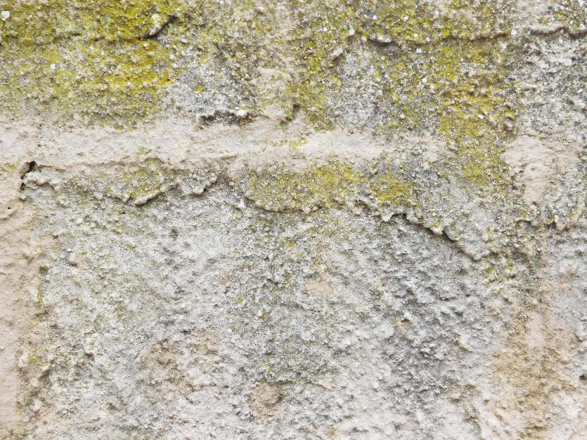 Stone texture 壁紙 — 風化混凝土牆的特寫，帶有黃綠色苔蘚斑塊和灰白色紋理。