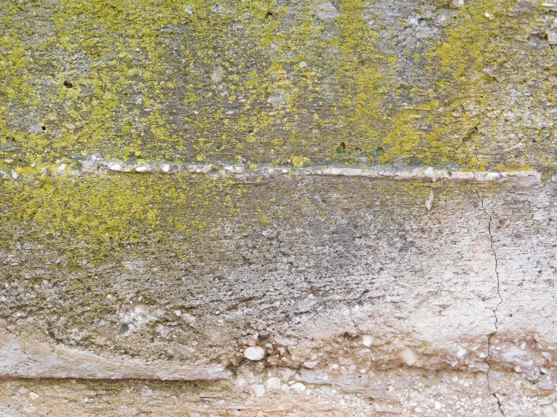 Stone texture 壁紙 — 風化混凝土牆的特寫，覆蓋著黃綠色苔蘚和地衣，有可見裂縫和紋理。
