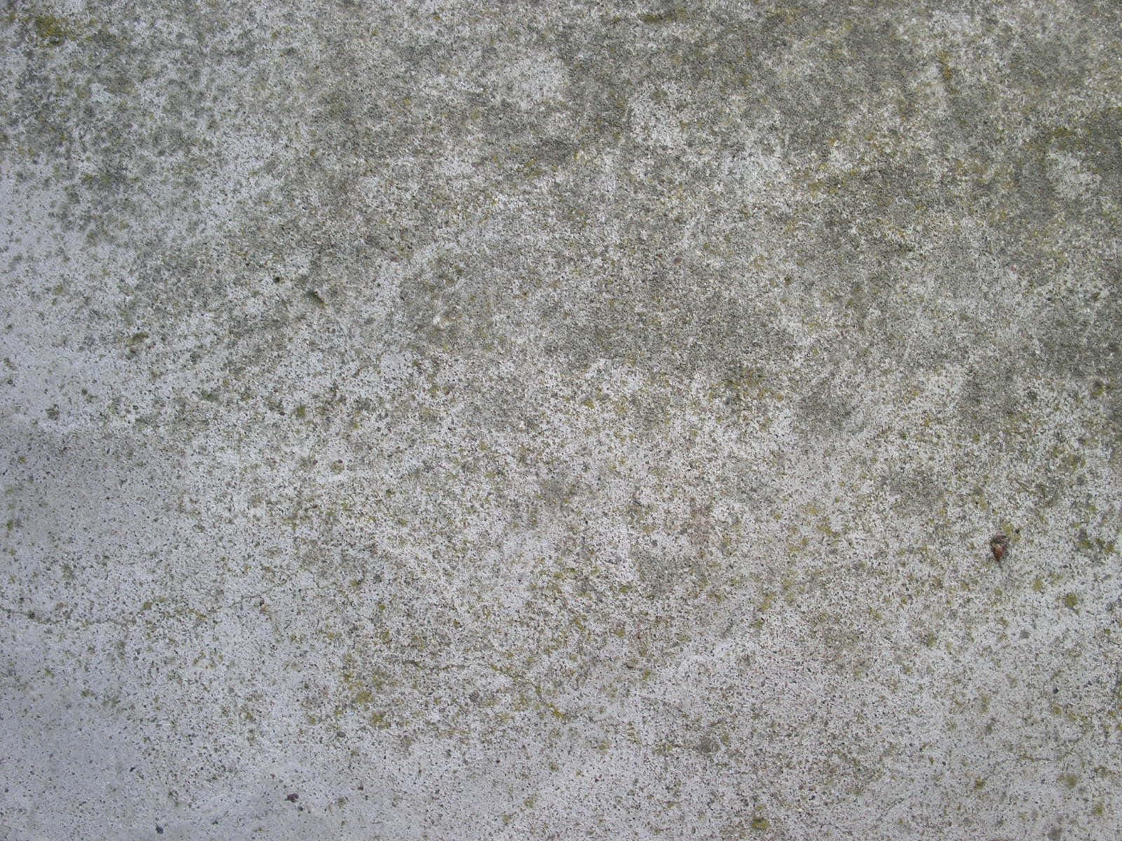 Concrete Texture 桌布 壁紙 — 風化混凝土表面特寫，帶有灰色紋理和微弱的綠色苔蘚斑塊。