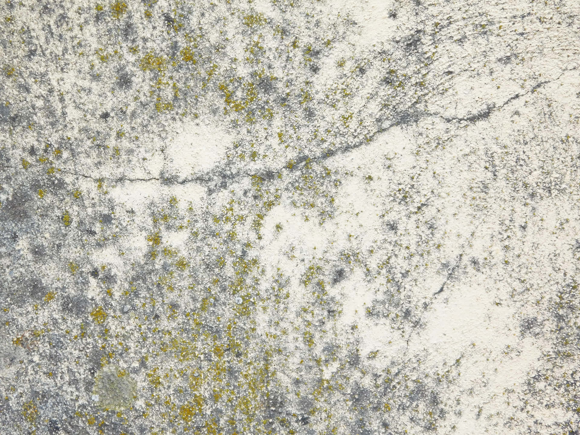 Stone texture 壁紙 — 風化混凝土表面的特寫，帶有灰色裂縫和散落的黃綠色苔蘚斑塊。