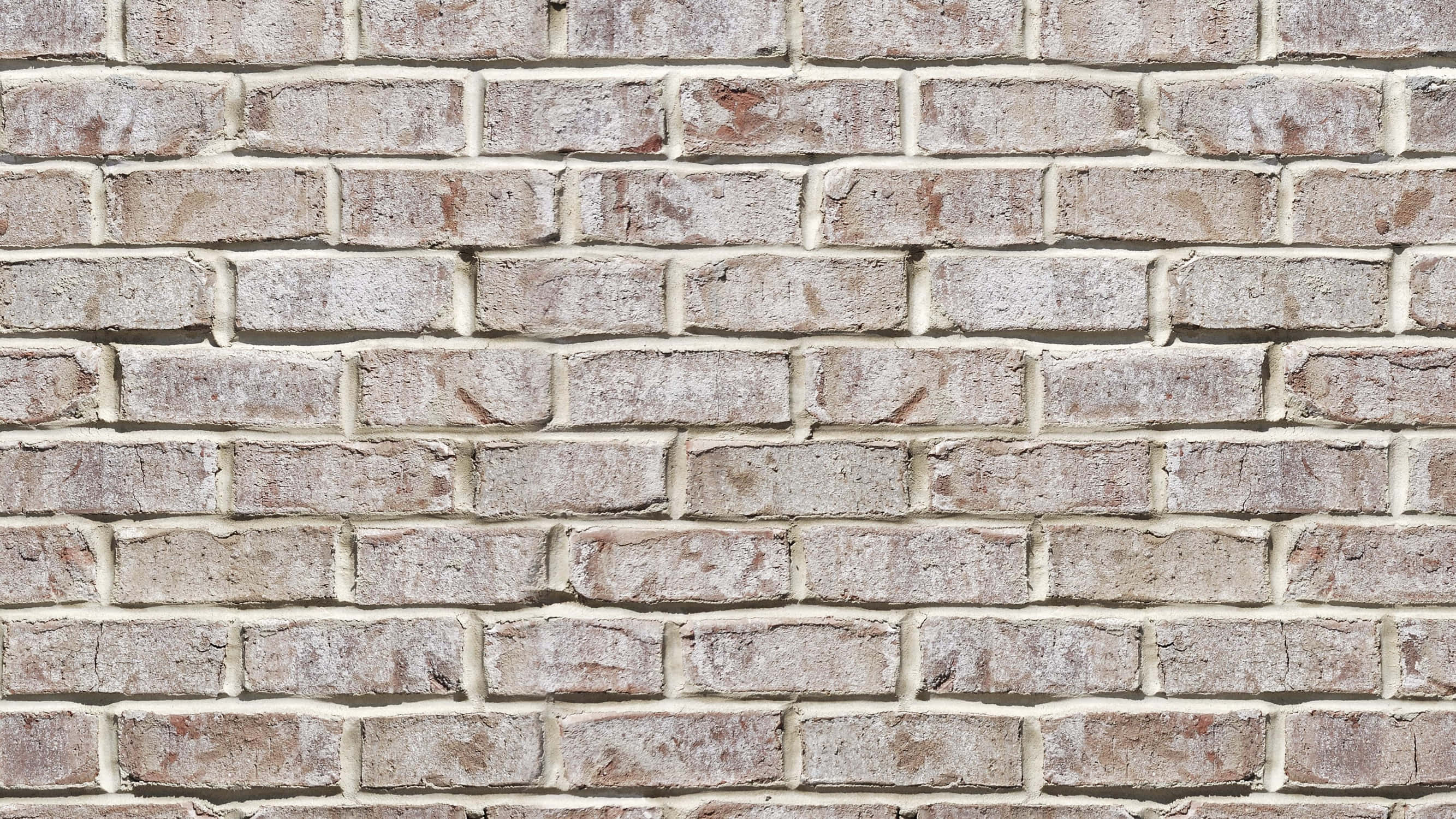White Brick Wall 桌布 壁紙 — 風化淺灰色磚牆的特寫，帶有紋理灰泥線條和細微的紅色污漬。