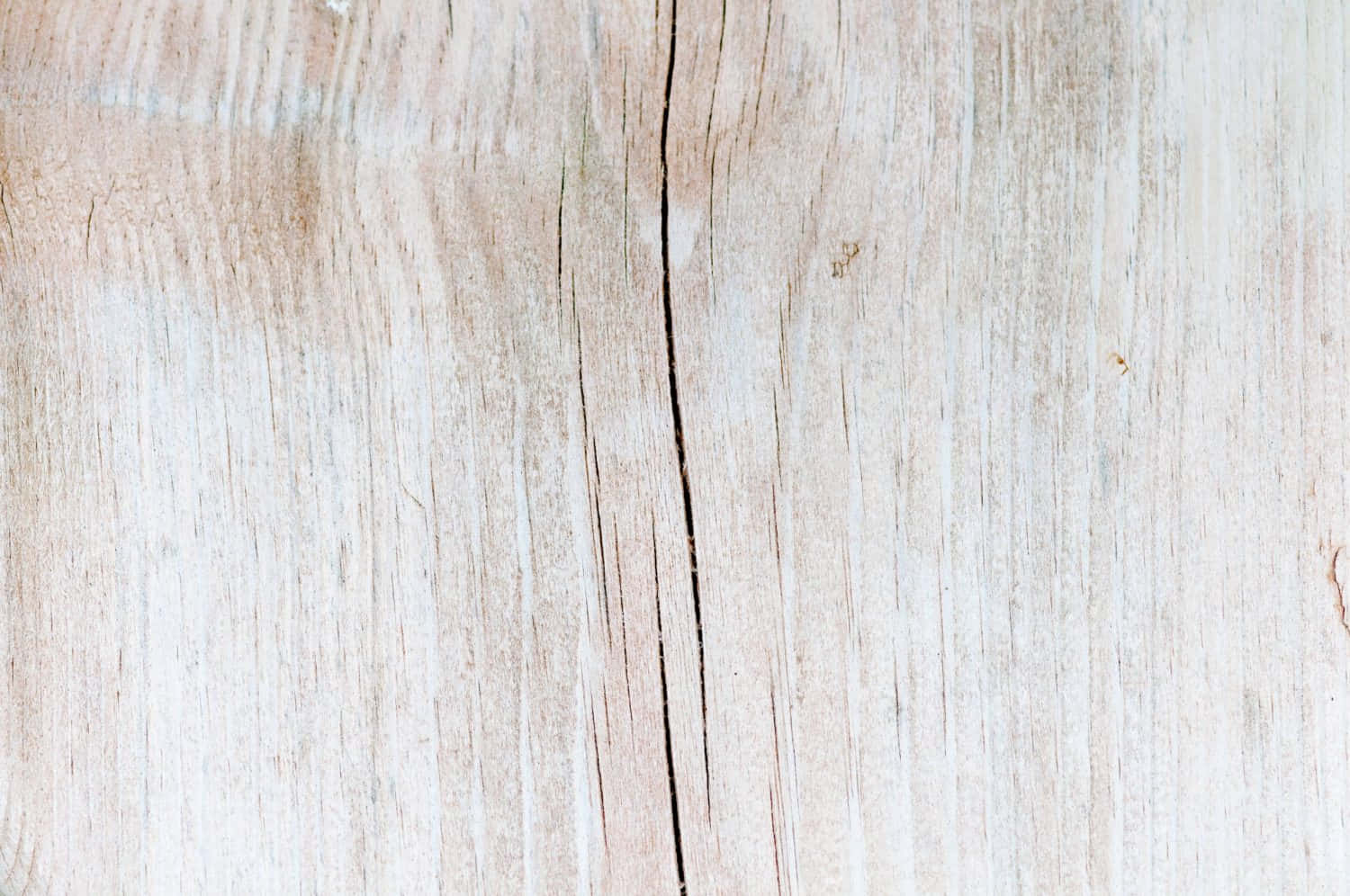 Wood Texture 桌布 壁紙 — 風化淺色木紋的特寫，帶有垂直裂縫和細微紋理。