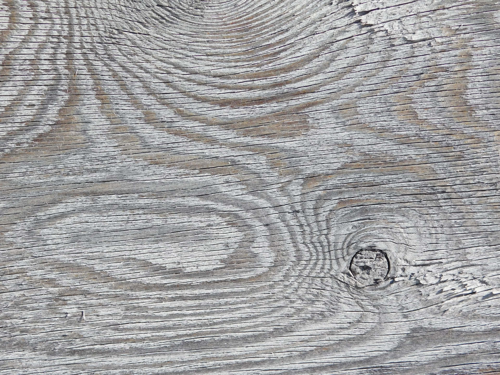 Wood texture 壁紙 — 風化灰色木紋特寫，可見節疤和紋理表面。