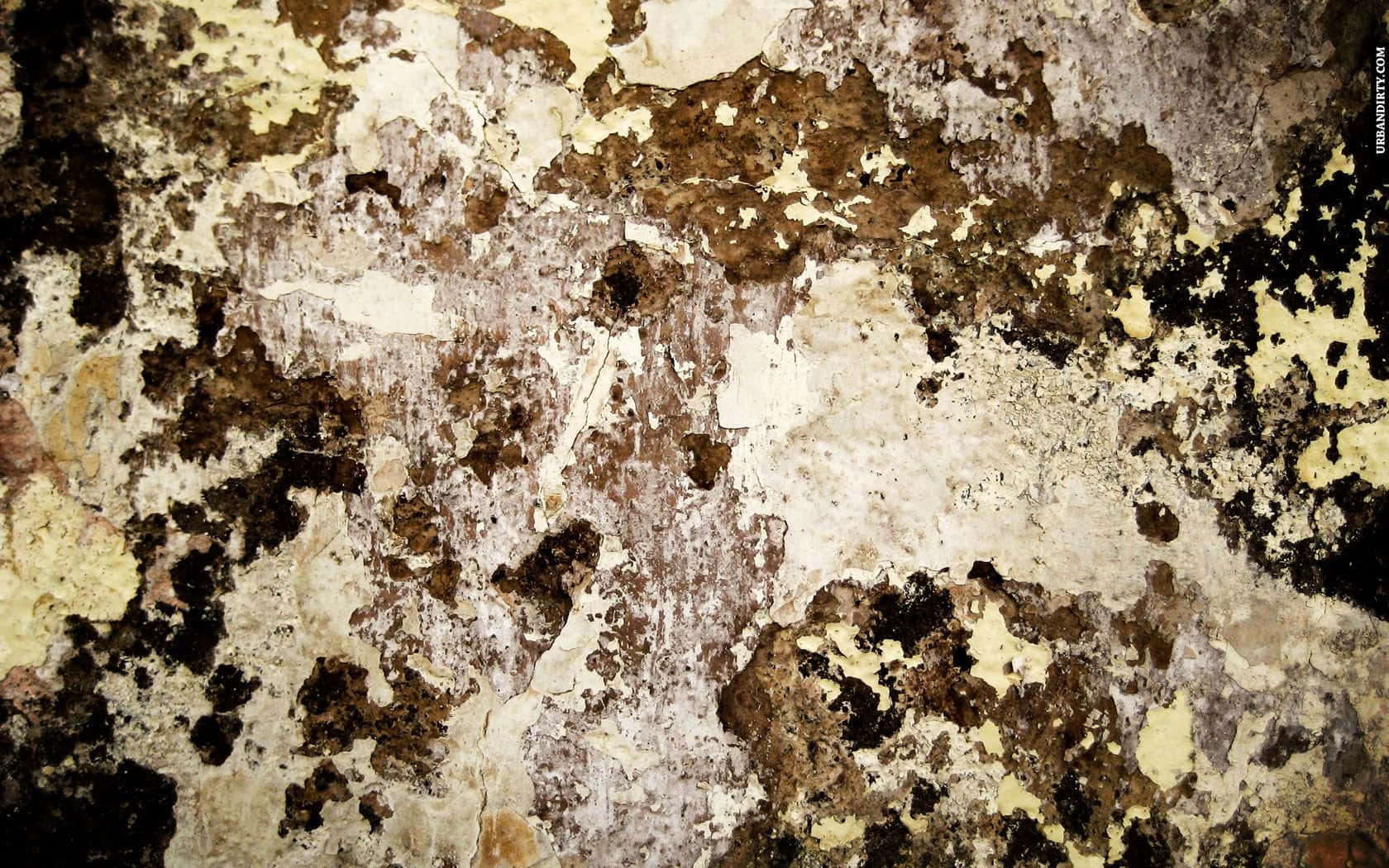 Dirt 桌布 壁紙 — 風化牆壁的特寫，油漆剝落，露出米色、棕色和灰色的層次紋理。