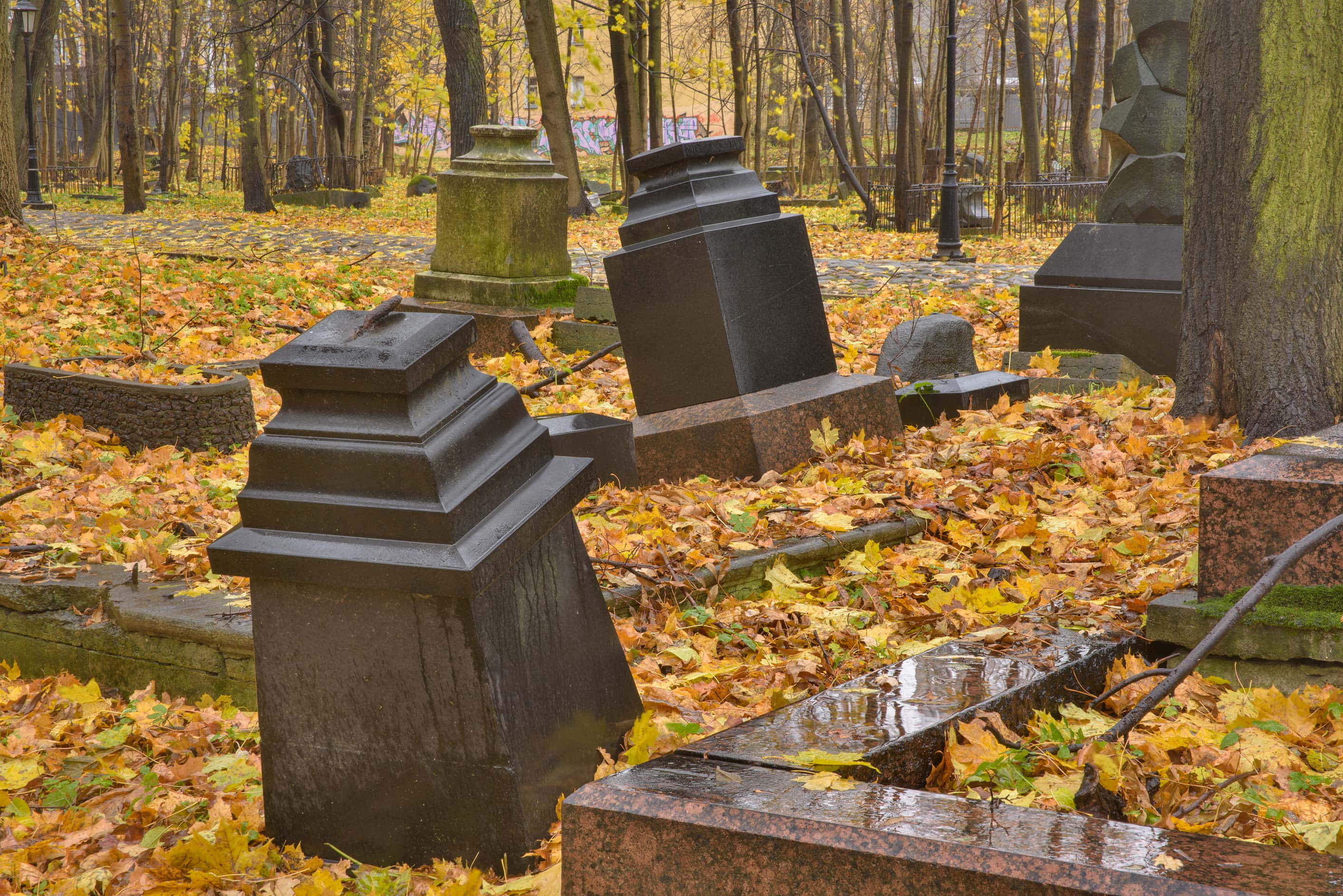 Tombstone 桌布 壁紙 — 風化的墓碑在寧靜的森林墓園中，在一片金色秋葉地毯中莊嚴地矗立。
