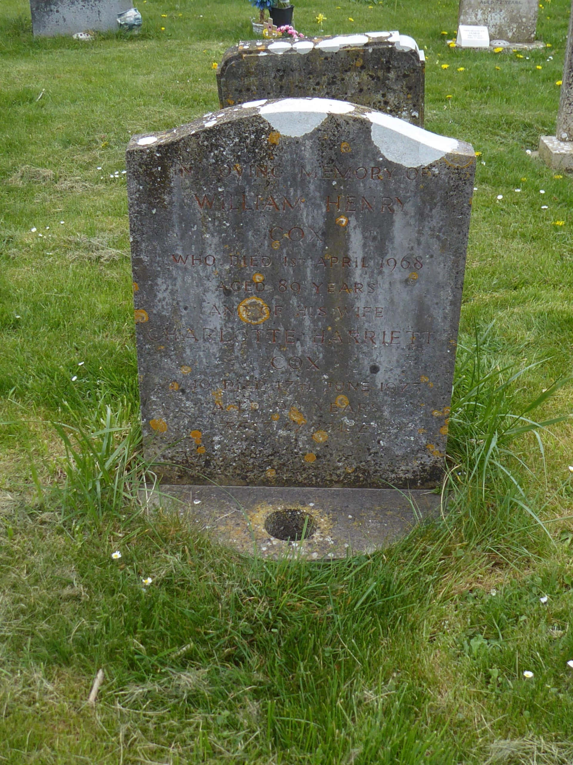 Gravestone 桌布 壁紙 — 風化的灰色墓碑，帶有地衣和刻名，矗立在長滿野花的草地墓地中。