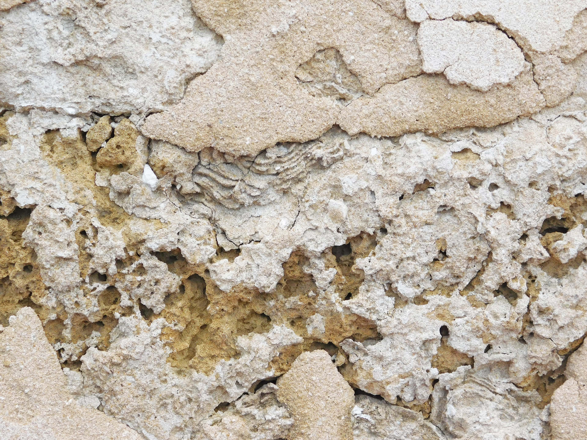 Stone texture 壁紙 — 風化的米色和奶油色灰泥的特寫，裂開和剝落的層次露出粗糙紋理的底層。
