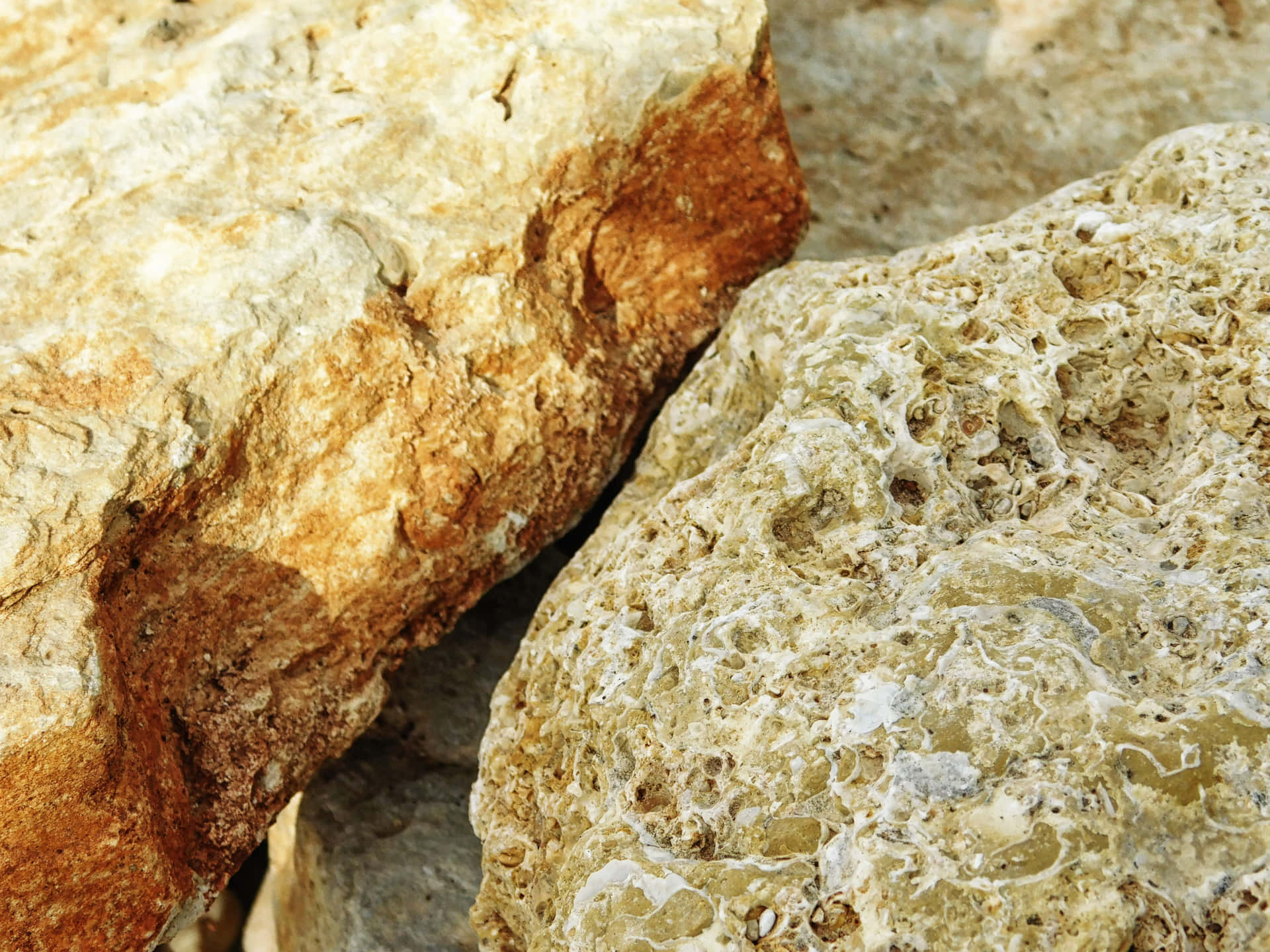Stone texture 壁紙 — 風化的米色和赭色岩石的特寫，粗糙多孔的紋理和天然礦物圖案。