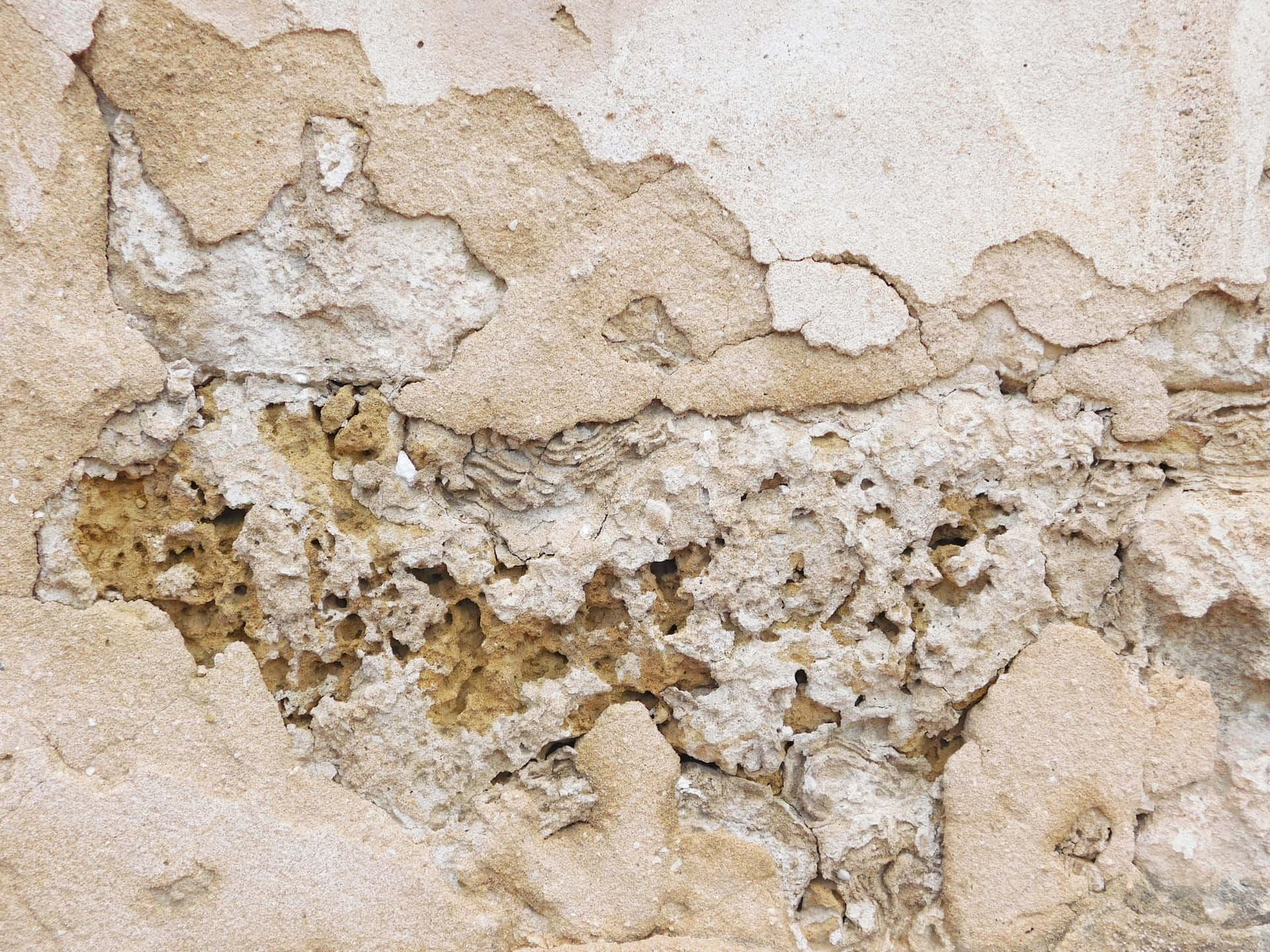 Stone texture 壁紙 — 風化的米色灰泥特寫，剝落的層次露出粗糙紋理的底層。