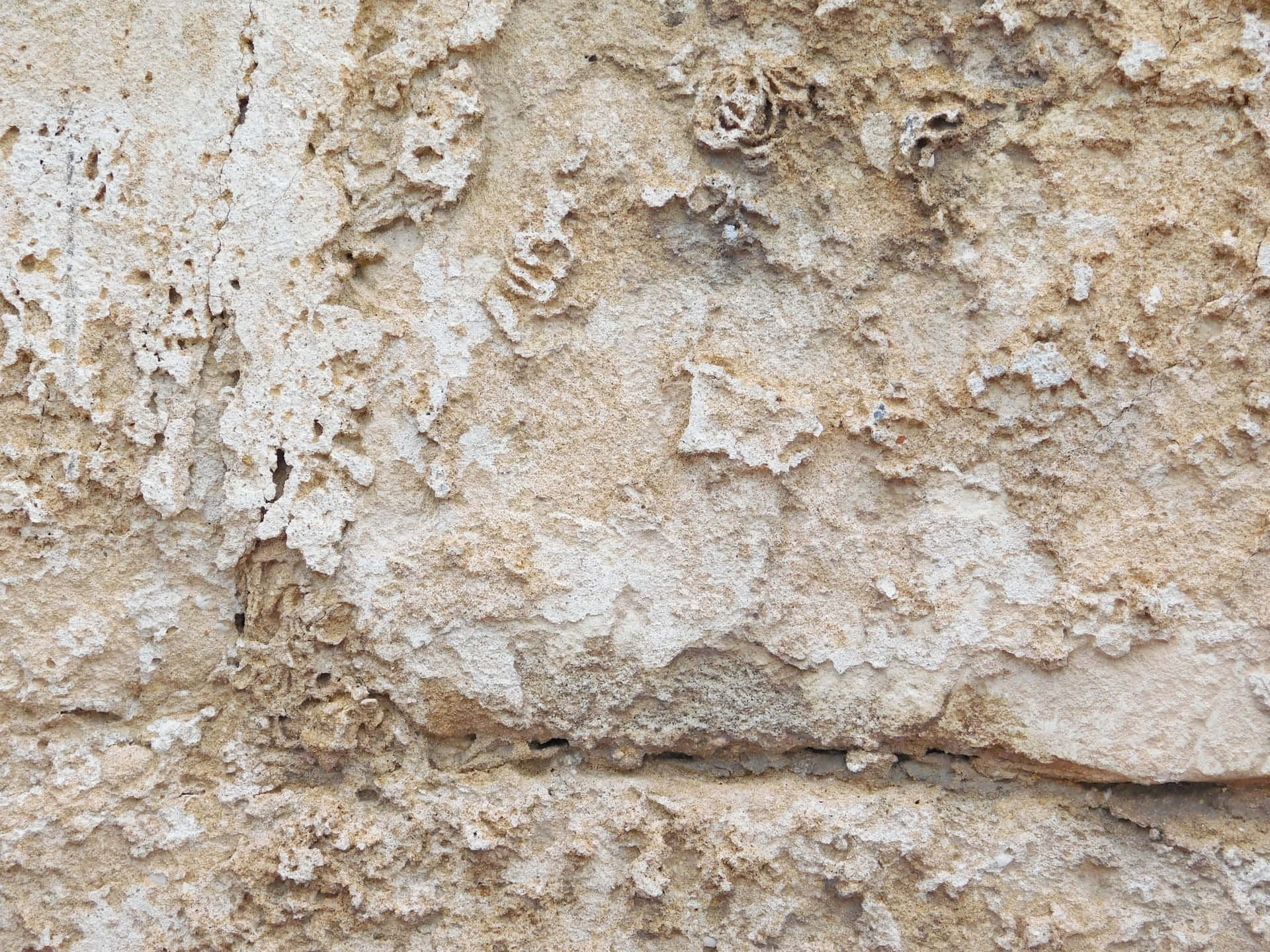 Stone texture 壁紙 — 風化的米色石牆特寫，表面粗糙有紋理，裂縫清晰可見。