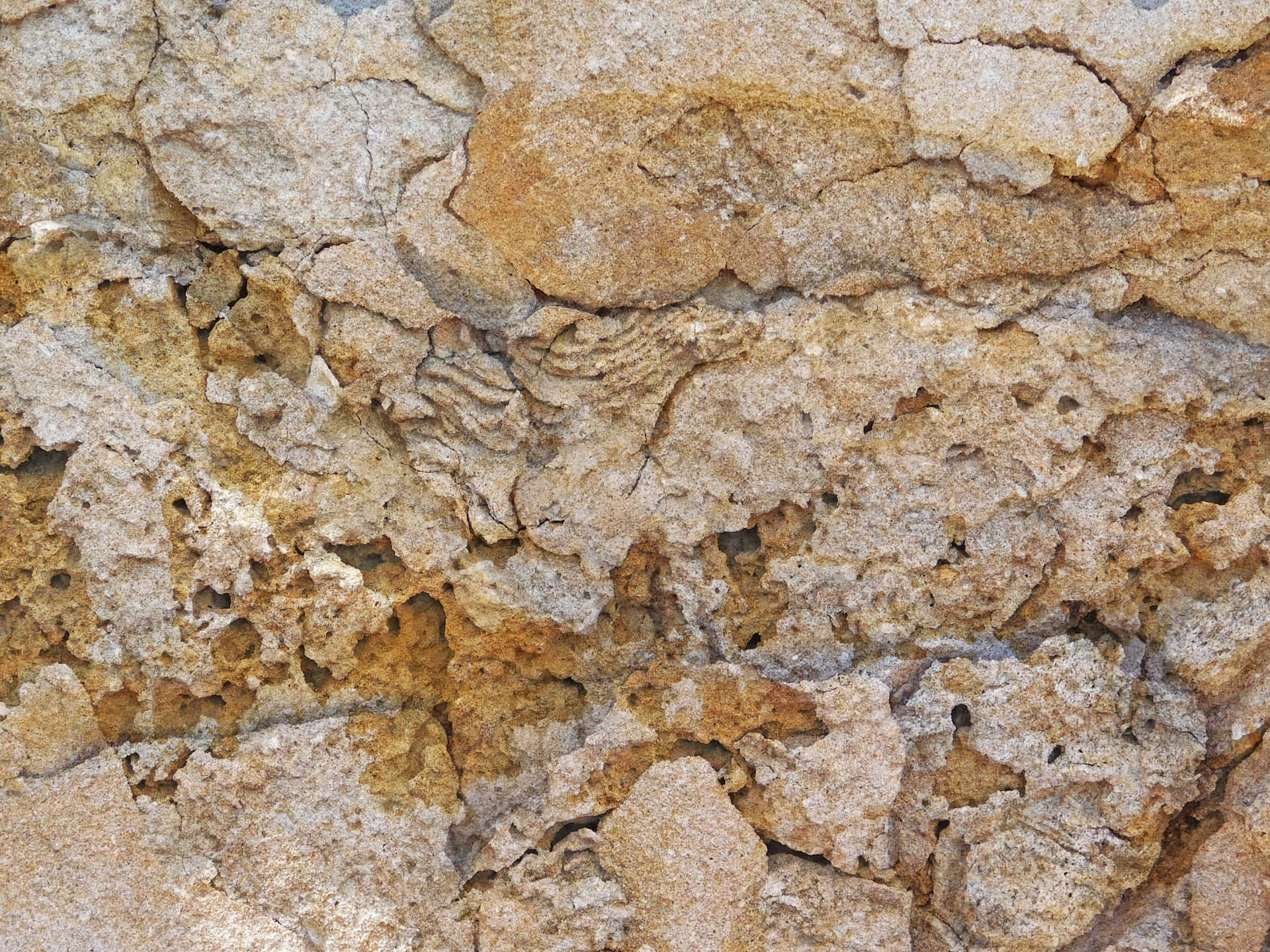 Stone texture 壁紙 — 風化石牆的特寫，裂紋的米色和赭色表面顯示自然侵蝕圖案。