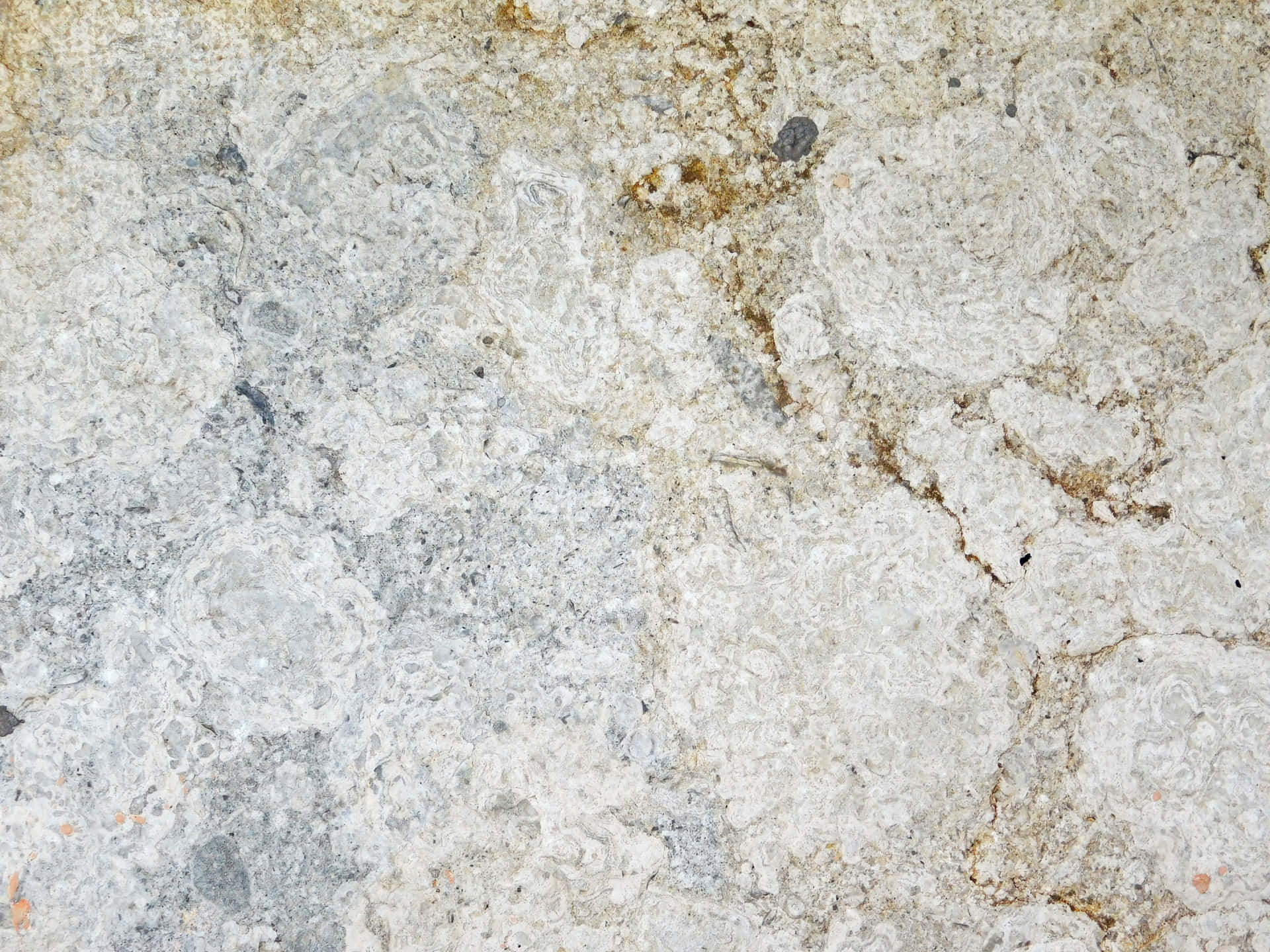 Stone texture 壁紙 — 風化石頭表面的特寫，帶有灰色、白色和棕色礦脈漩渦和粗糙紋理。