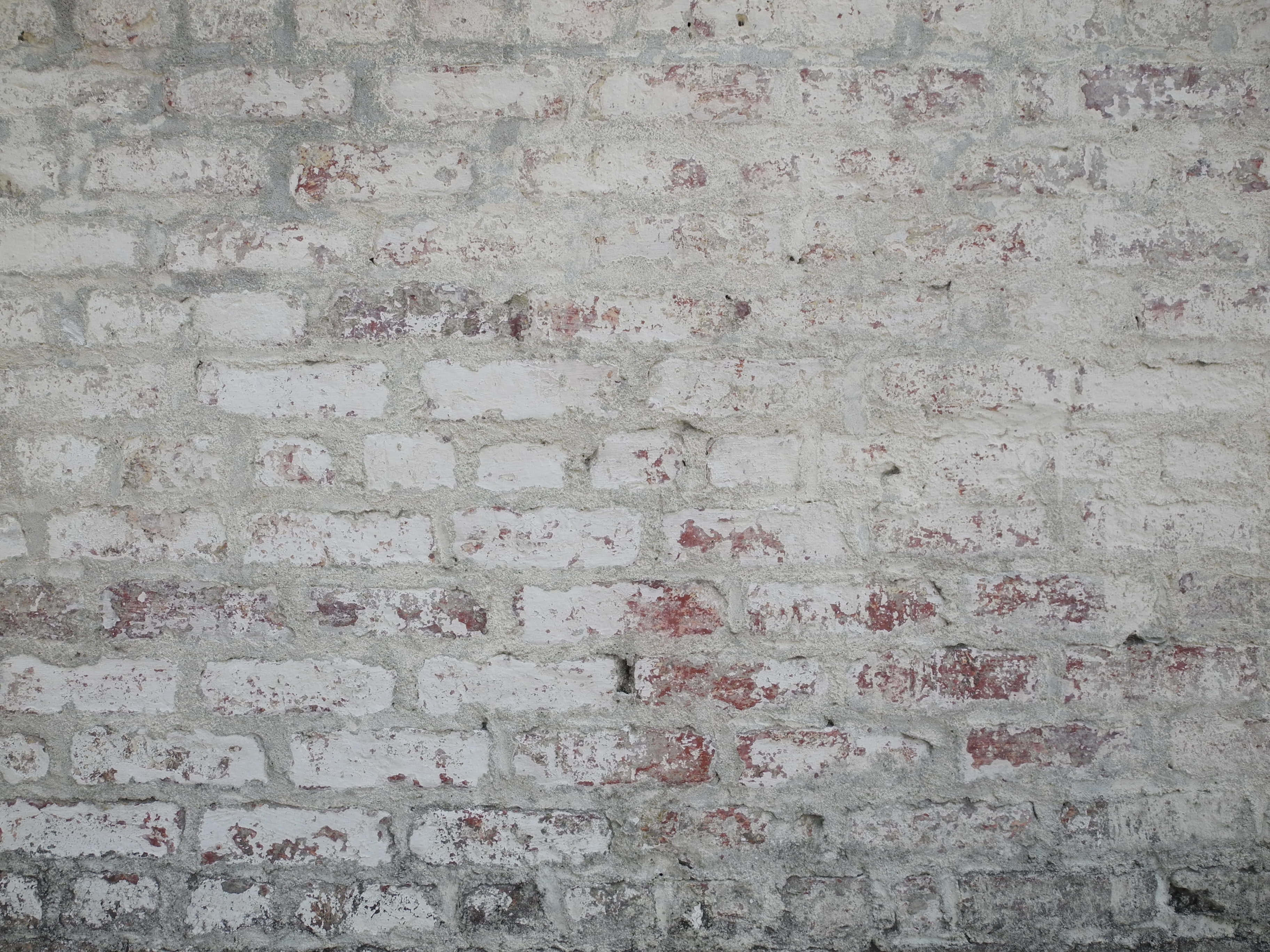White Brick Wall 桌布 壁紙 — 風化磚牆，白色油漆剝落，露出下面的紅磚，呈現質樸的工業質感。