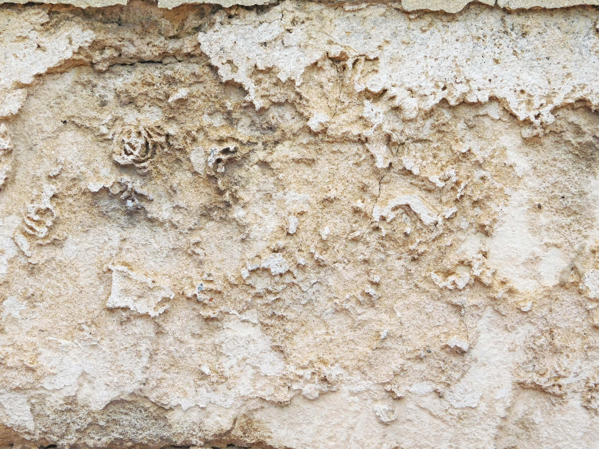 Stone texture 壁紙 — 風化米色石牆特寫，表面紋理破裂剝落。