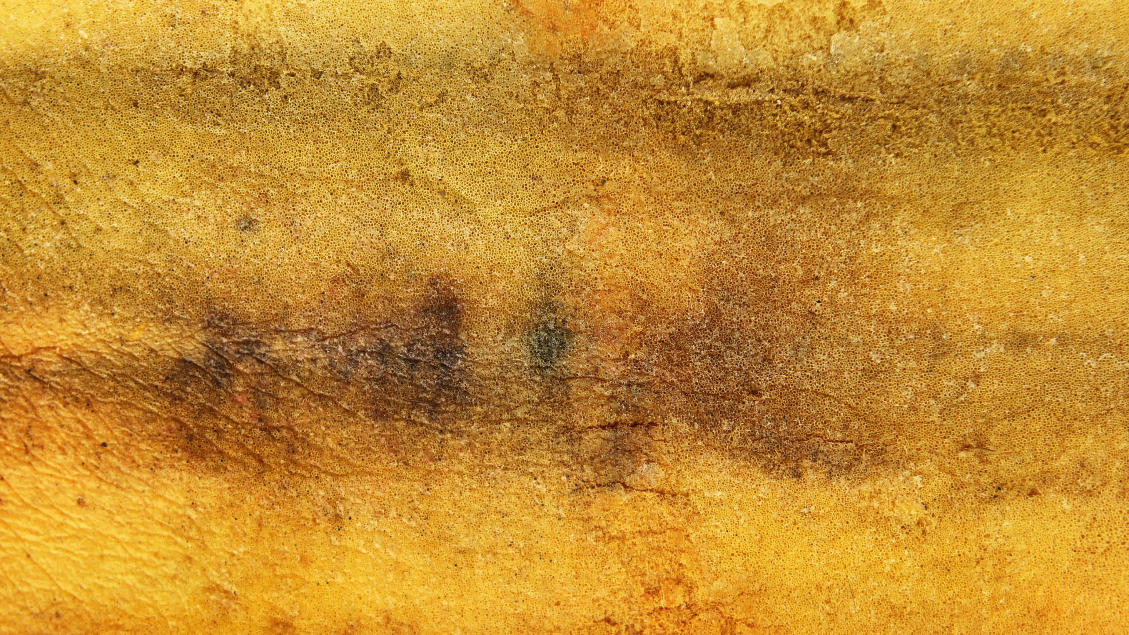 Yellow Grunge 桌布 壁紙 — 風化金棕色鏽蝕金屬表面的特寫，帶有紋理銅綠和深色條紋。