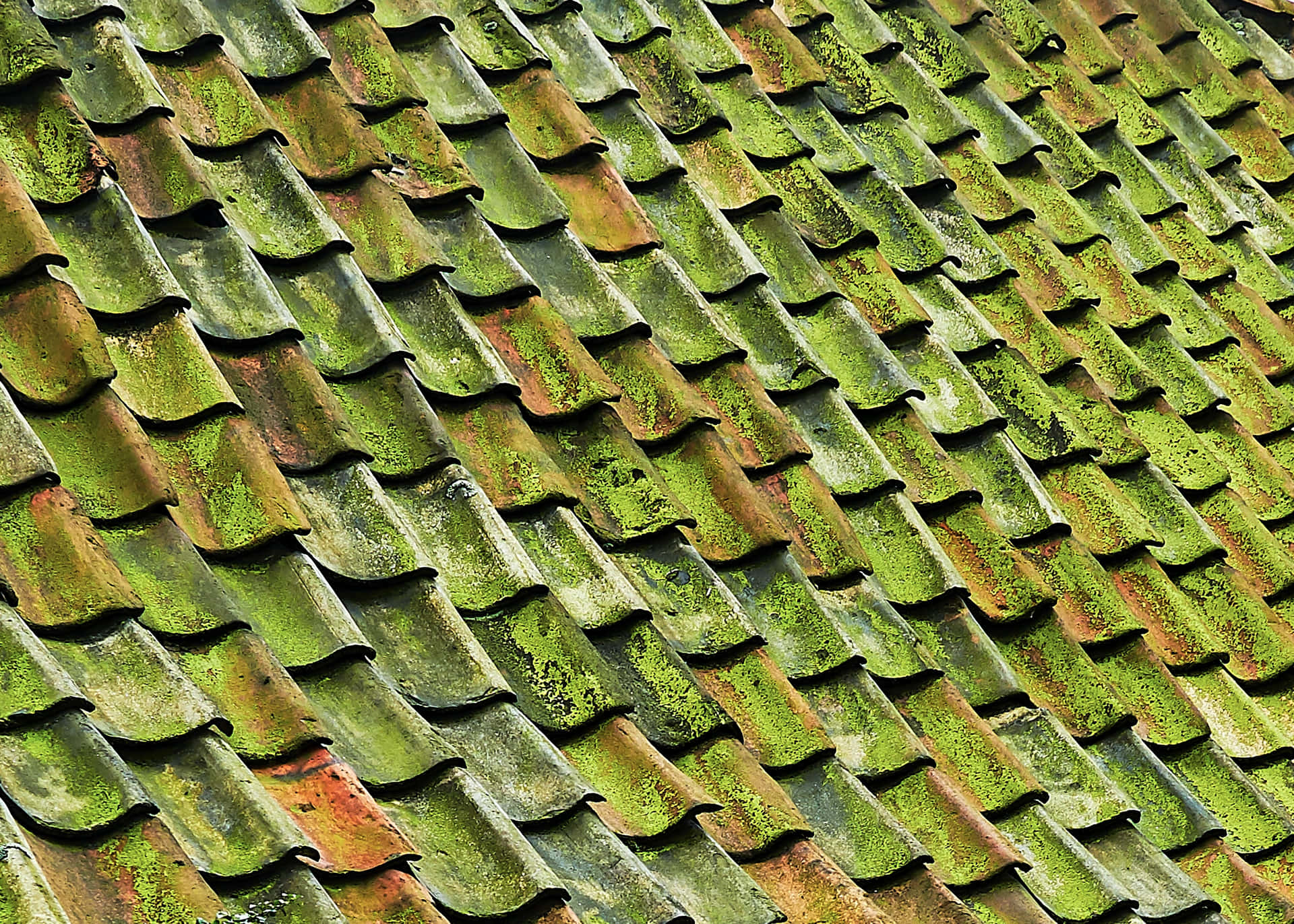 Roof 桌布 壁紙 — 風化黏土屋頂瓦片的特寫，覆蓋著鮮綠色苔蘚和鏽斑。