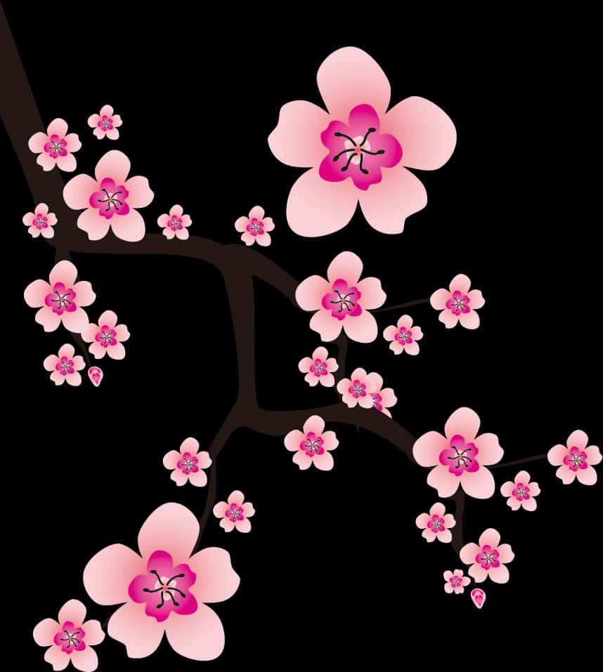 透明櫻花枝條PNG - 櫻花向量PNG，可下載PNG圖像