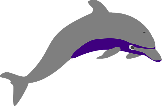 風格化海豚插畫 壁紙