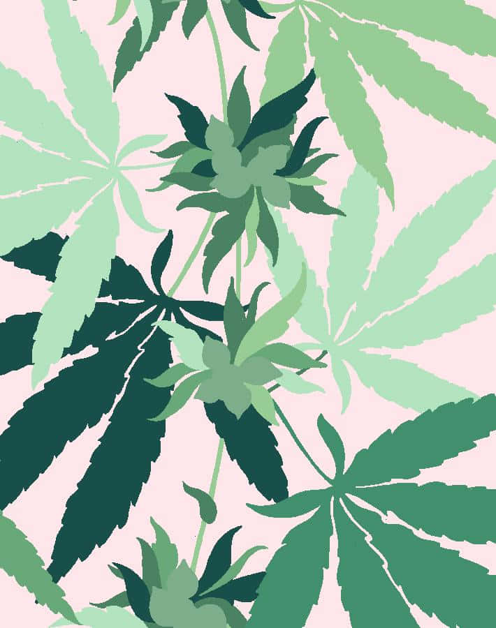 葉子 桌布 壁紙 — 風格化的大麻葉以不同深淺的綠色漂浮在柔和的粉紅色背景上，呈現現代平面設計風格。