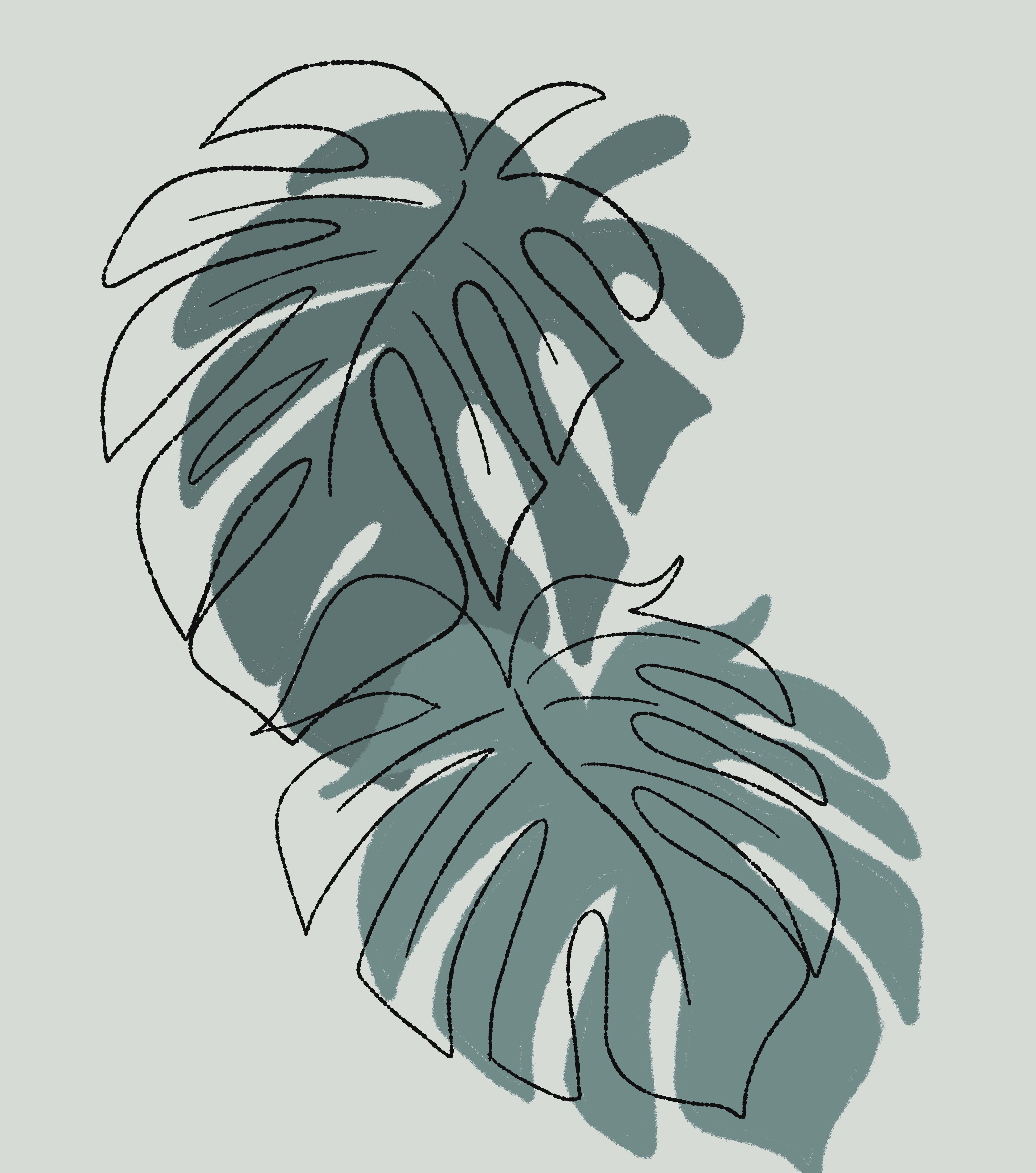 Minimalist Painting 桌布 壁紙 — 風格化的龜背竹葉，帶有粗黑輪廓和藍綠色陰影，背景為淡綠色。