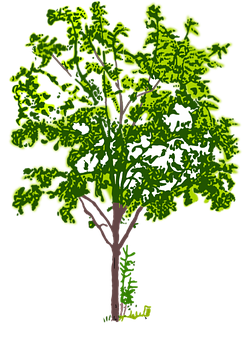 風格化綠色樹木插圖 — 森林 壁紙