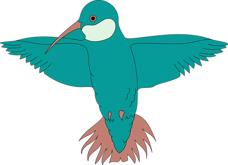風格化蜂鳥插畫 壁紙