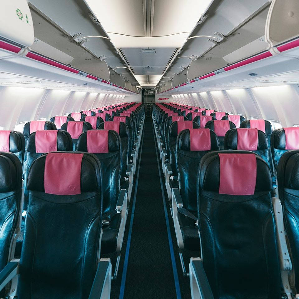 seat 桌布 壁紙 — 飛機客艙內部，黑色皮革座椅配以粉紅色頭枕，一排排延伸至遠方。