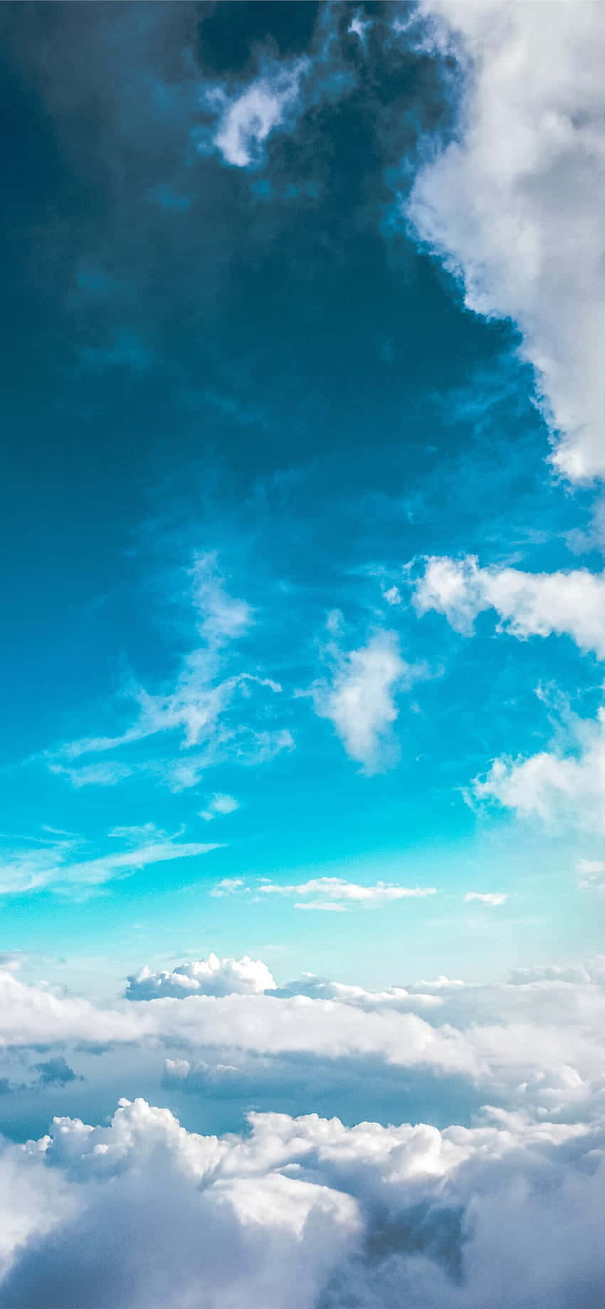 飛機翱翔於雲端之上 壁紙