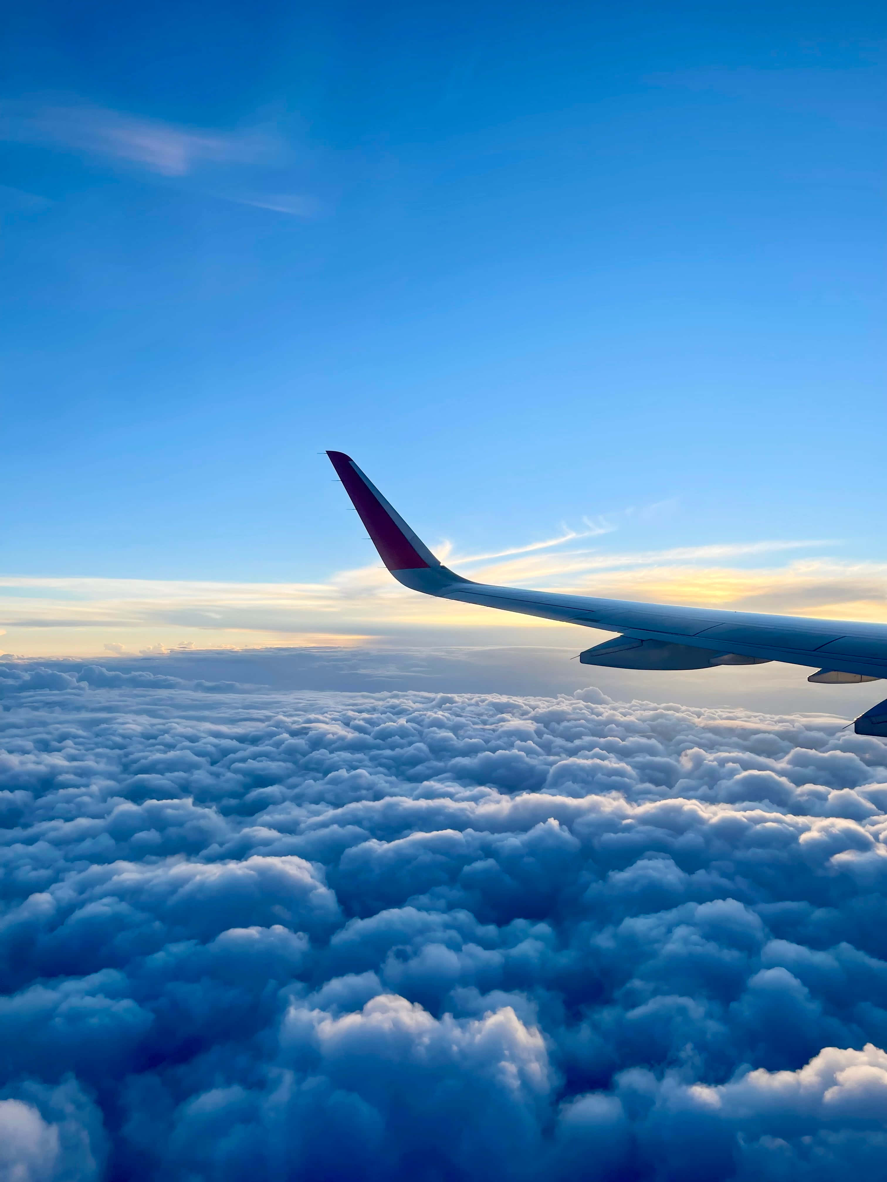 Plane 桌布 壁紙 — 飛機翼在金色日出下，於清澈藍天中無盡的棉花雲上滑翔。