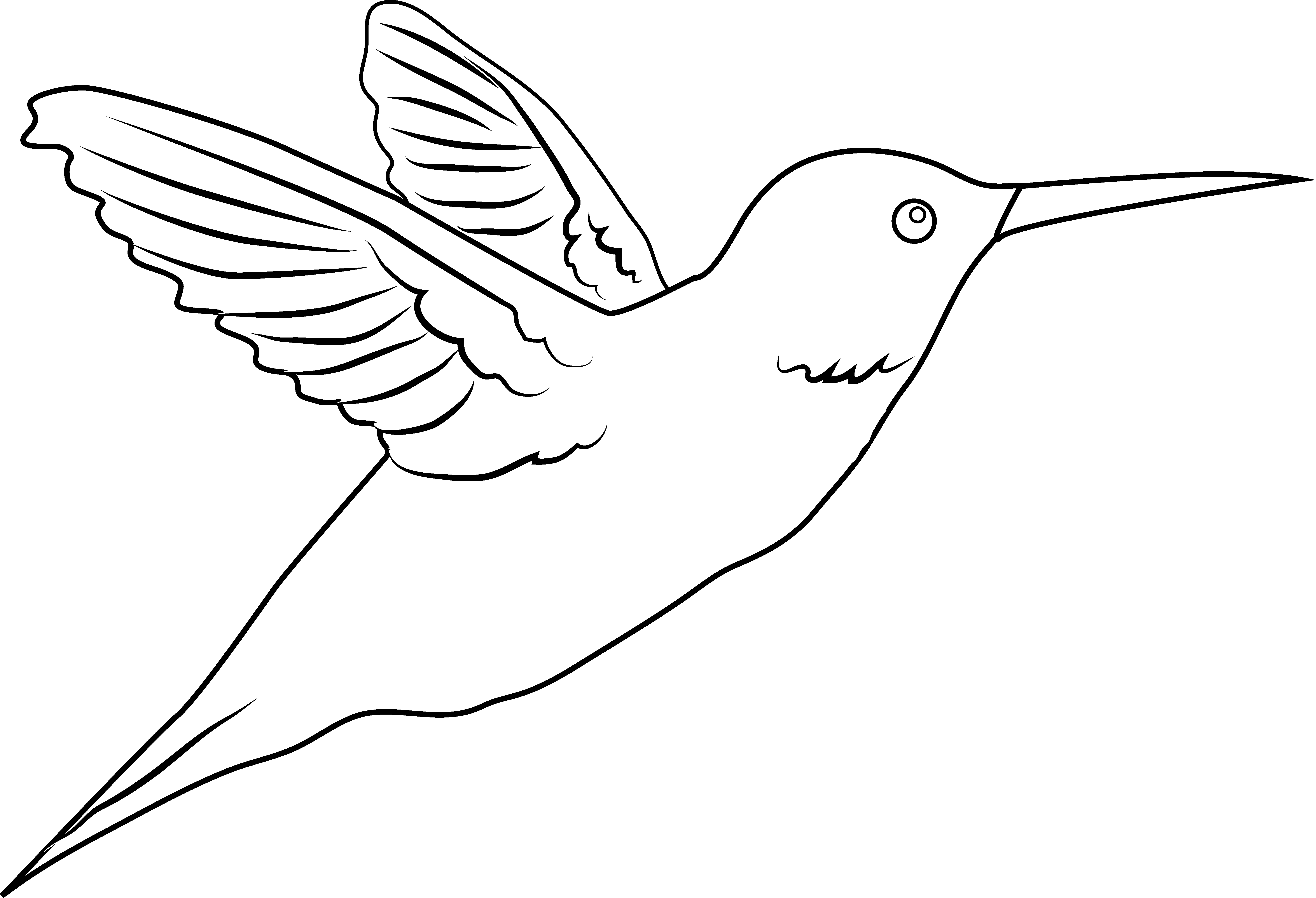 飛翔蜂鳥線條藝術 壁紙